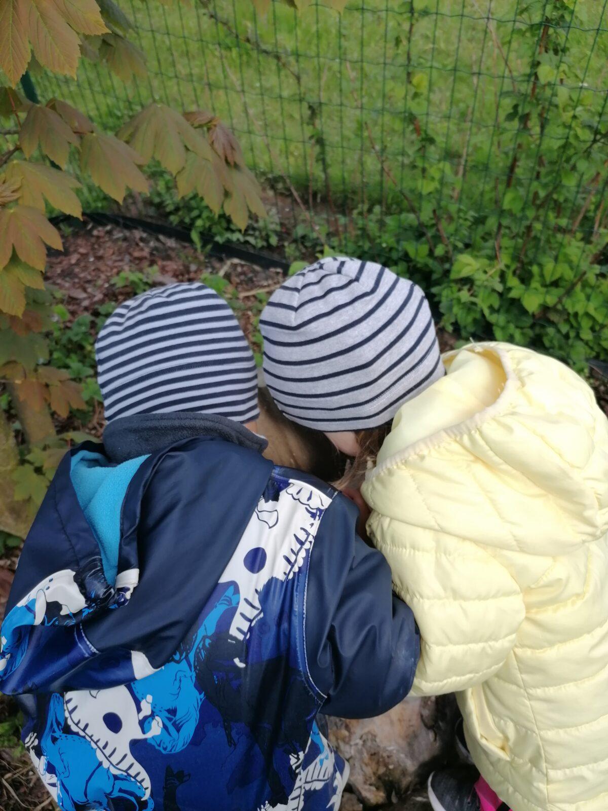 Vycházka "máme rádi zvířata" - 53