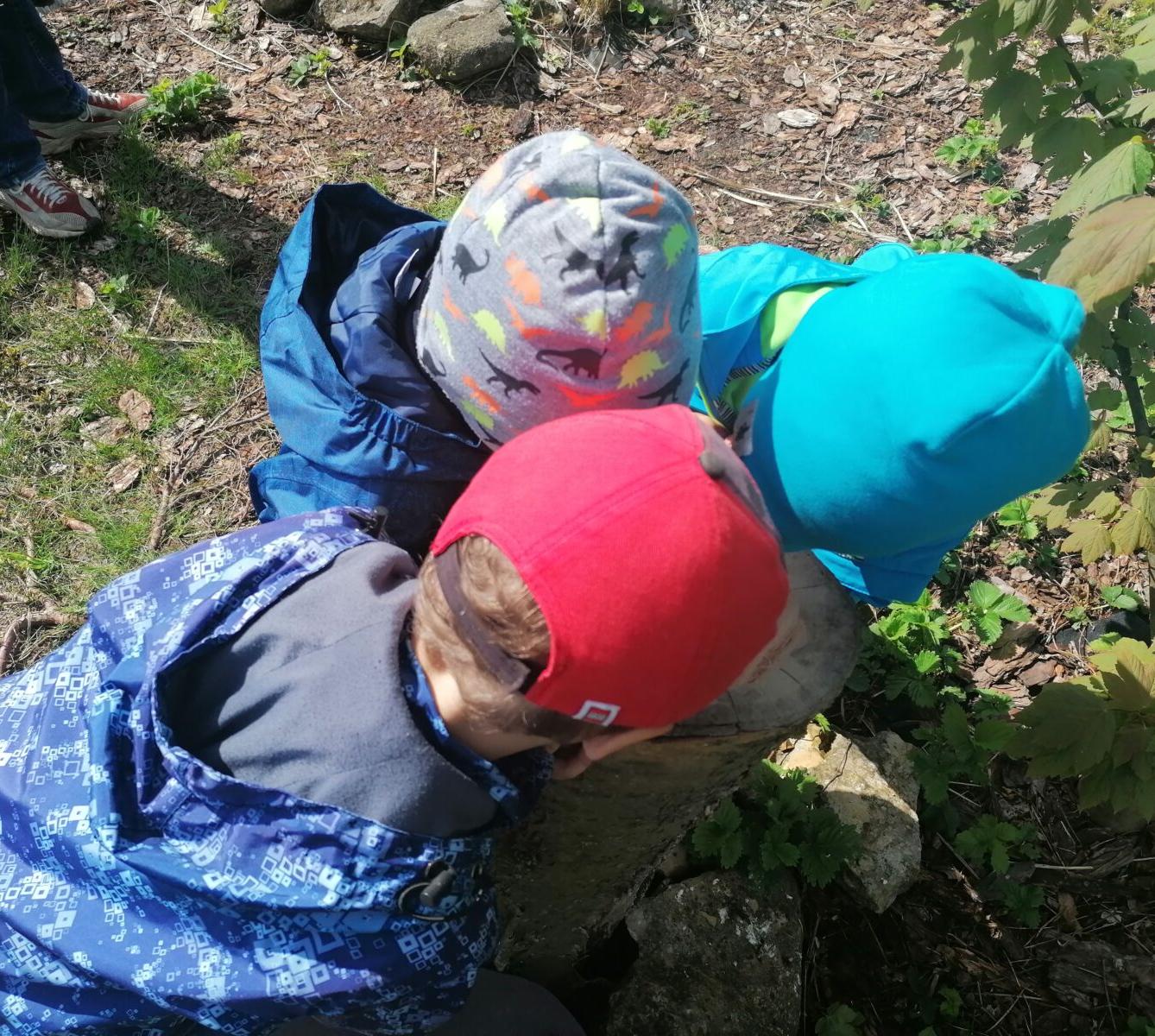 Vycházka "máme rádi zvířata" - 57