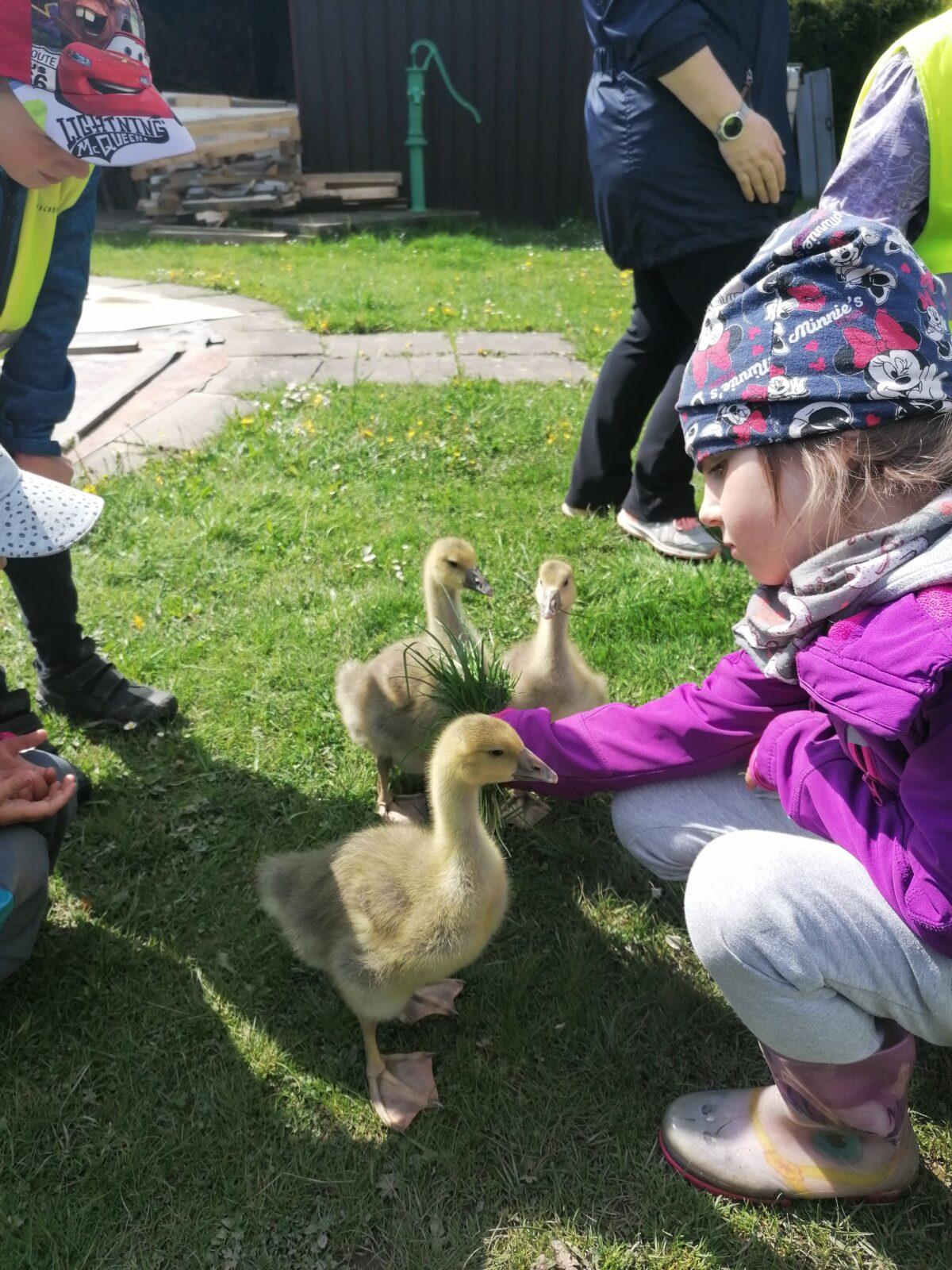 Vycházka "máme rádi zvířata" - 58