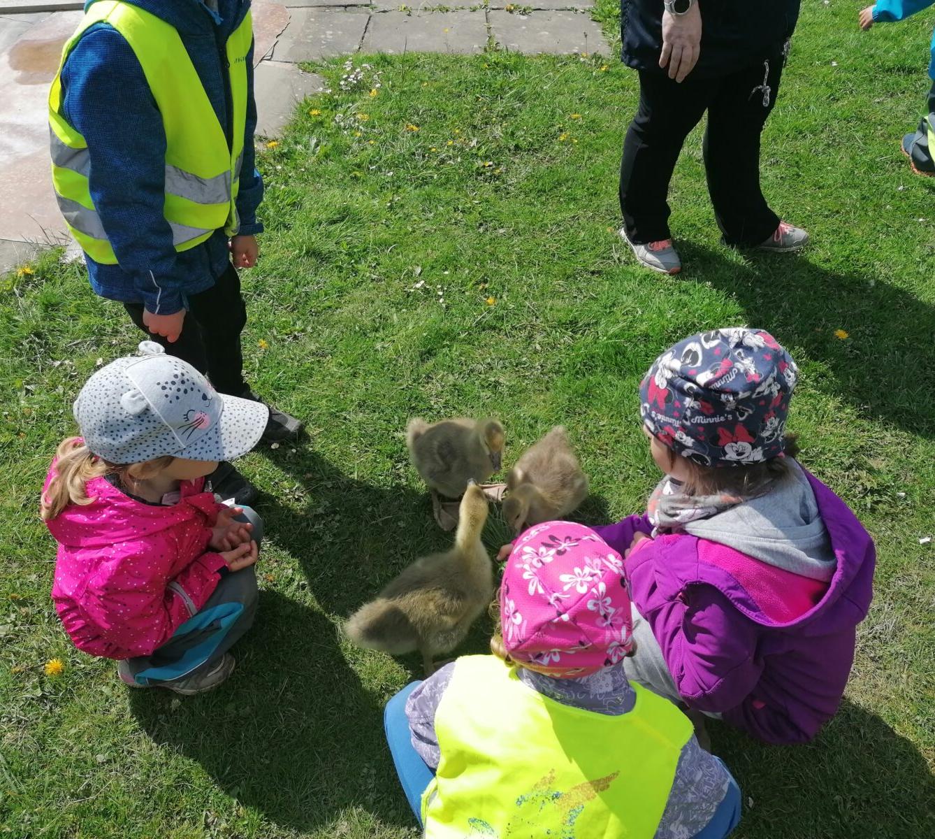 Vycházka "máme rádi zvířata" - 59