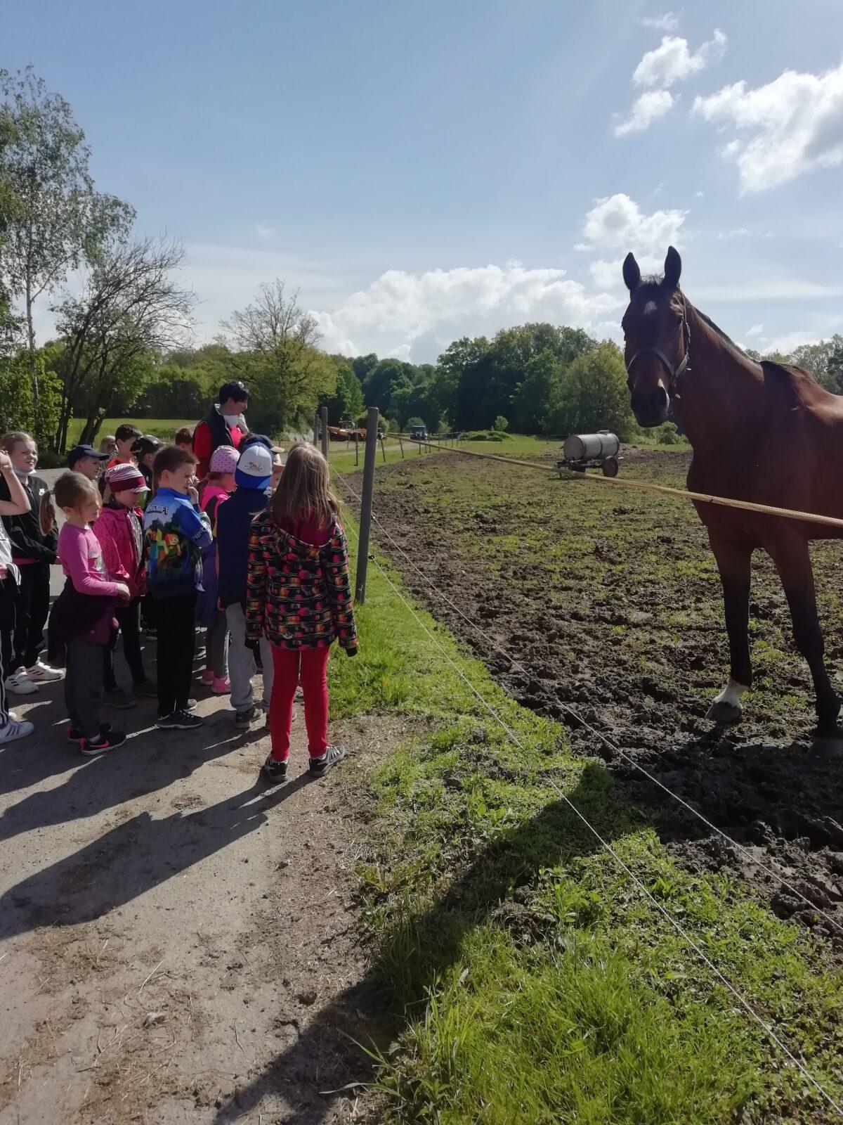 Vesmírná stezka a návštěva u koní - 14