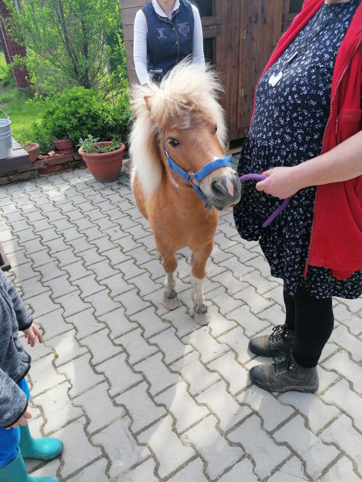 Sláva, nazdar výletu:-) (Babiččin statek - Líšnice) I. část - 87