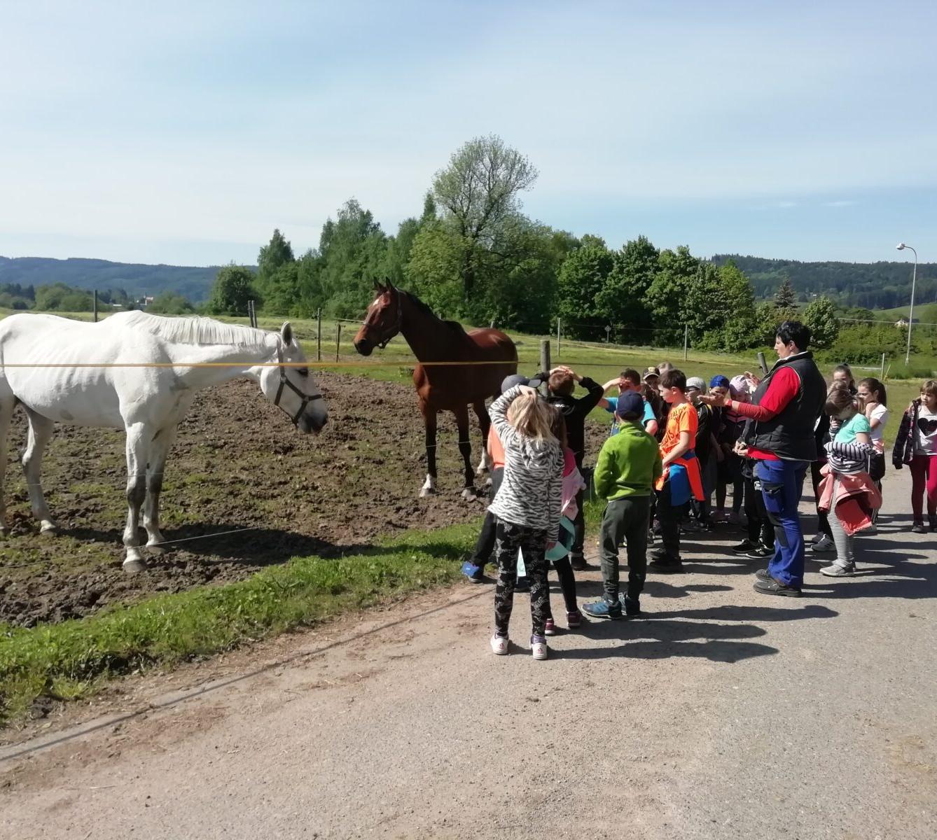 Vesmírná stezka a návštěva u koní - 15