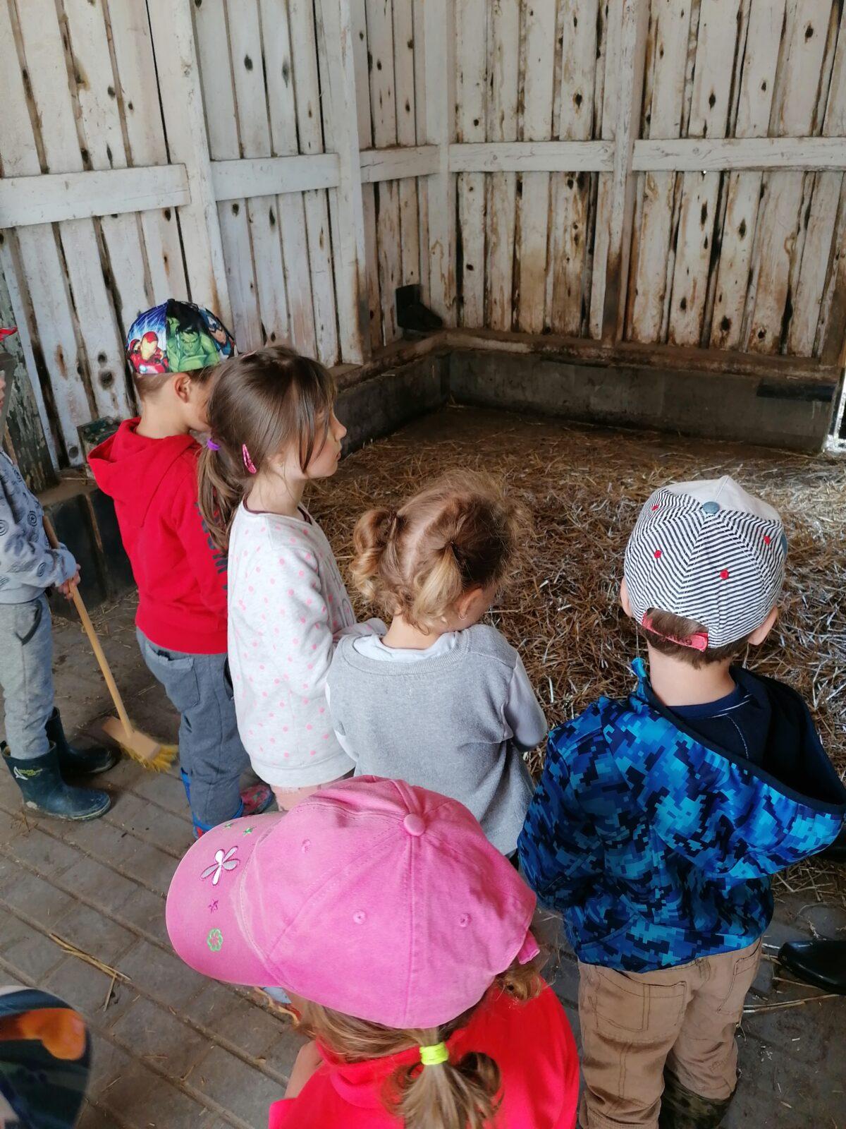 Sláva, nazdar výletu:-) (Babiččin statek - Líšnice) I. část - 88