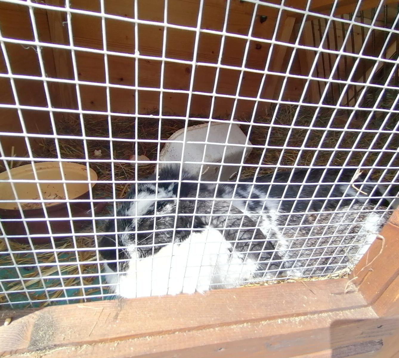 Sláva, nazdar výletu:-) (Babiččin statek - Líšnice) I. část - 115