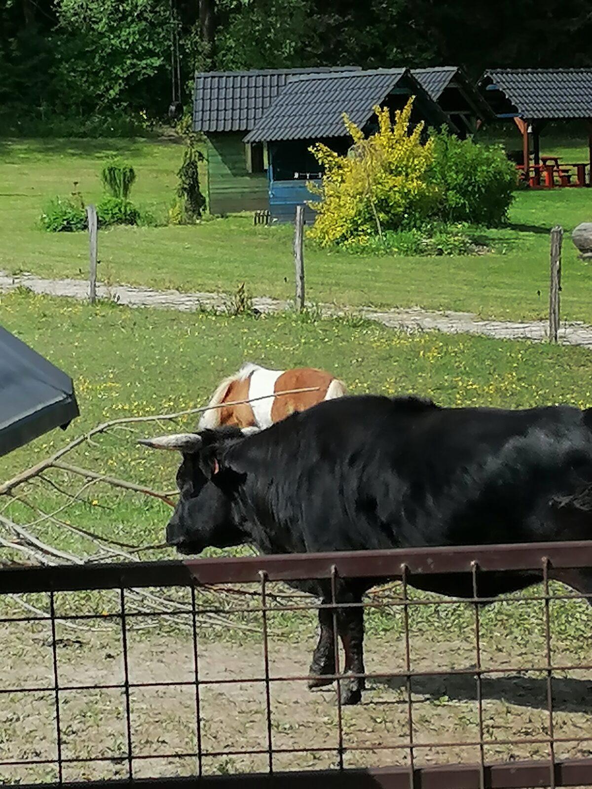 Sláva, nazdar výletu:-) (Babiččin statek - Líšnice) I. část - 117