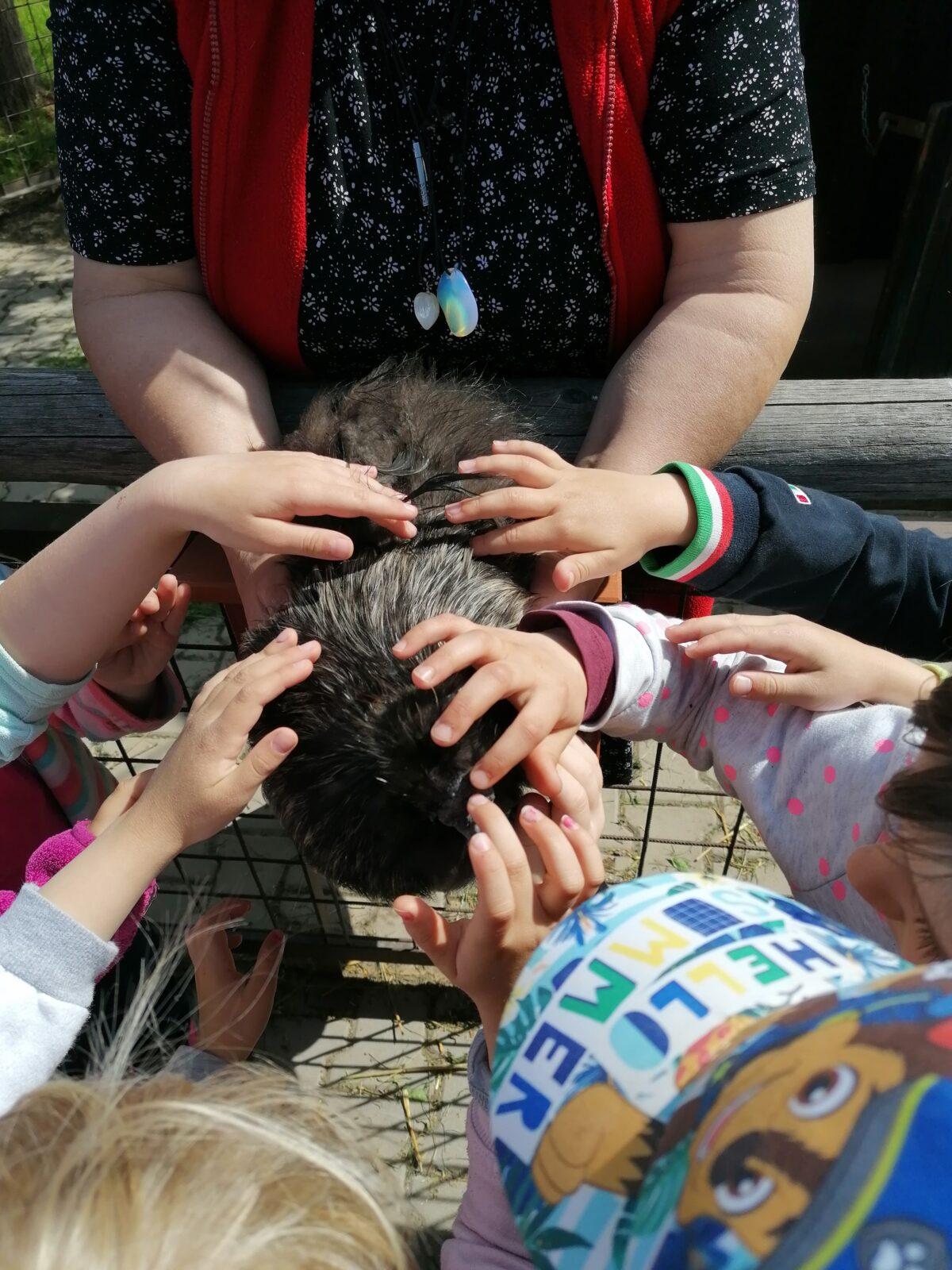 Sláva, nazdar výletu:-) (Babiččin statek - Líšnice) I. část - 122