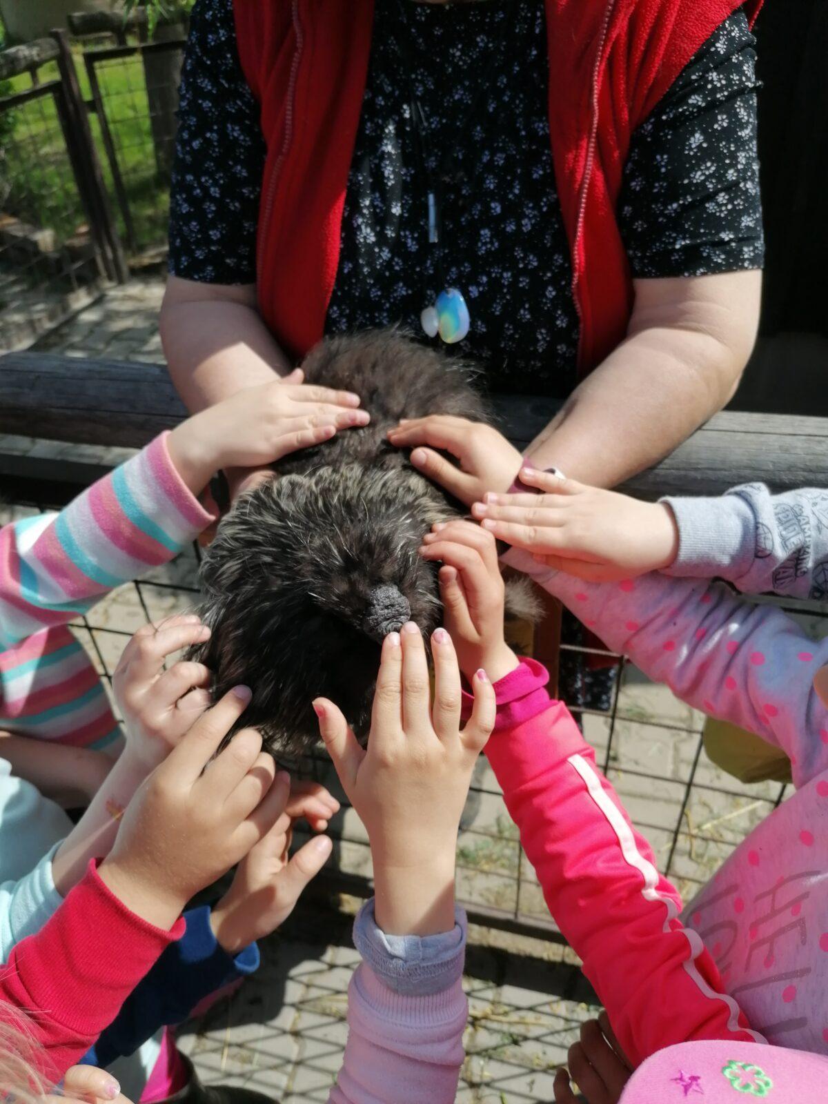 Sláva, nazdar výletu:-) (Babiččin statek - Líšnice) I. část - 123