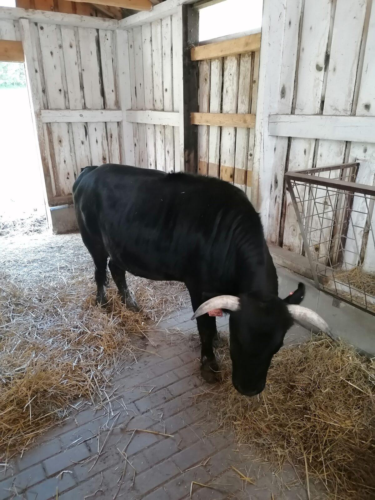 Sláva, nazdar výletu:-) (Babiččin statek - Líšnice) I. část - 124