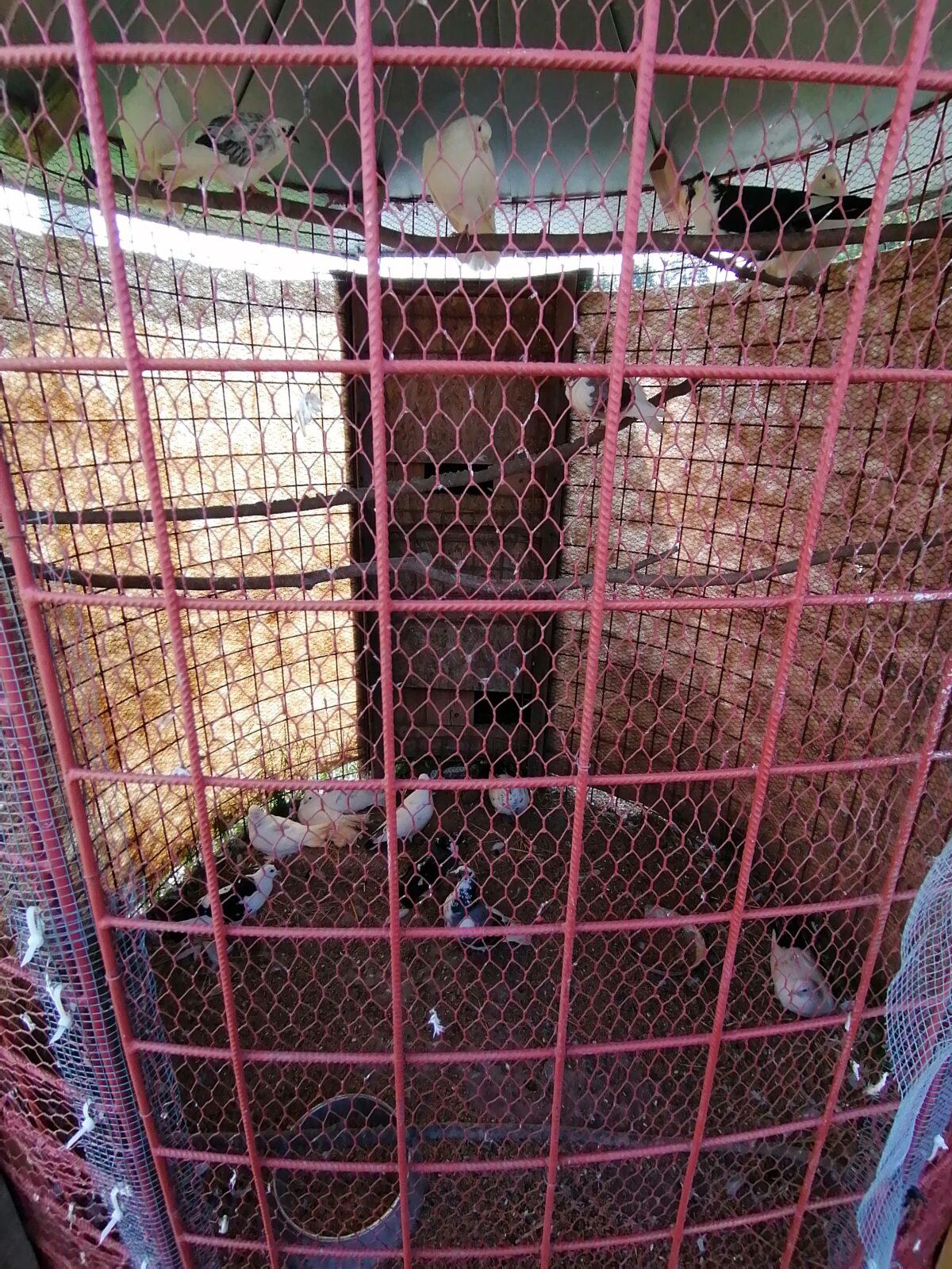 Sláva, nazdar výletu:-) (Babiččin statek - Líšnice) I. část - 126