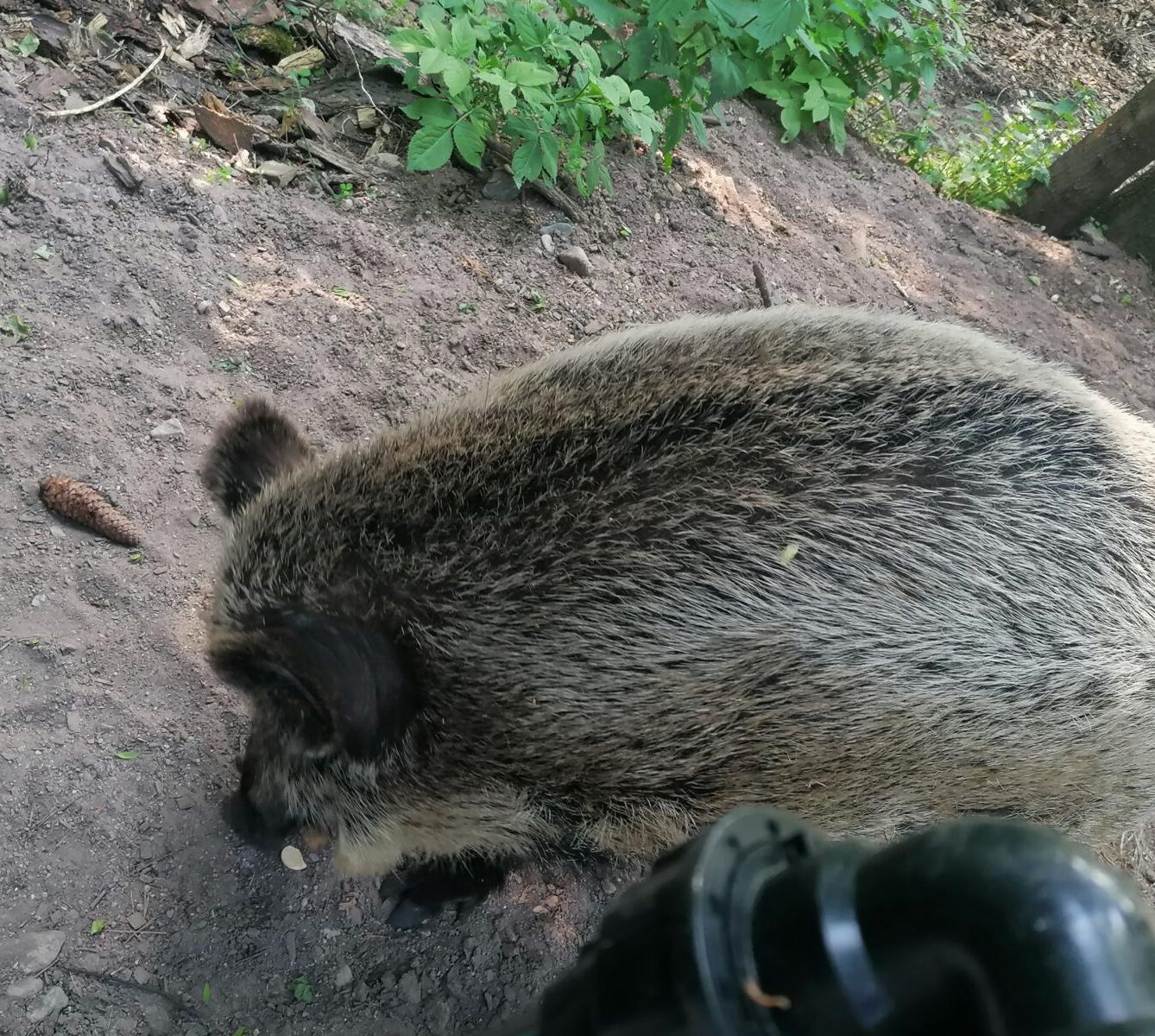 Sláva, nazdar výletu!!!!!! "Záchranná stanice Pasíčka" - 52