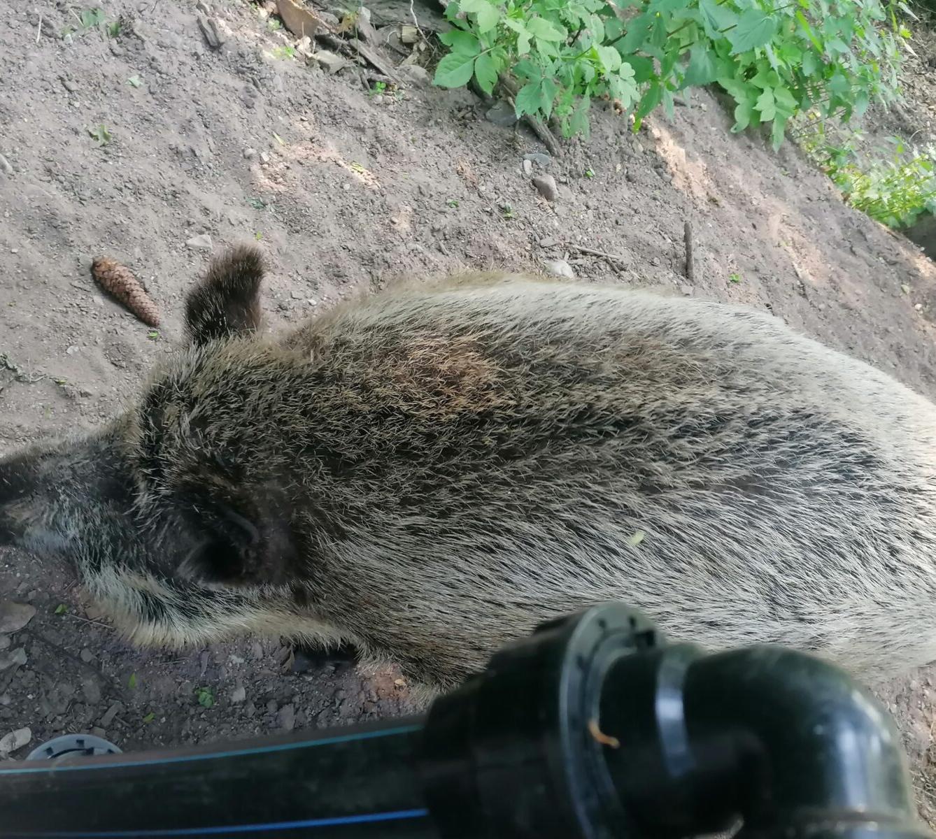 Sláva, nazdar výletu!!!!!! "Záchranná stanice Pasíčka" - 53