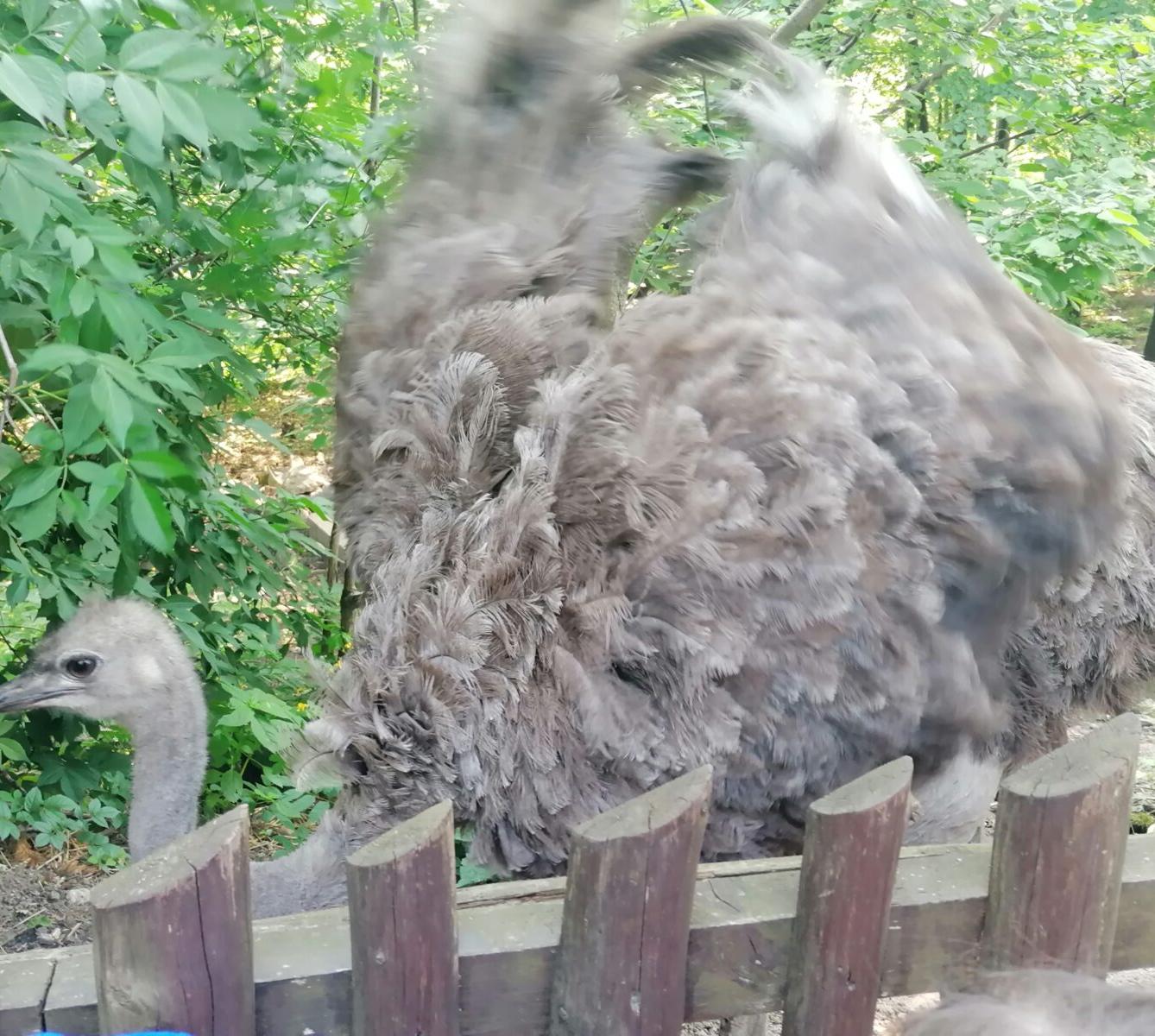 Sláva, nazdar výletu!!!!!! "Záchranná stanice Pasíčka" - 54