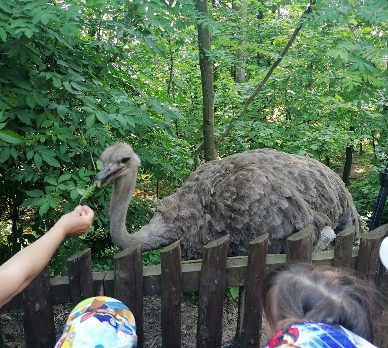 Sláva, nazdar výletu!!!!!! "Záchranná stanice Pasíčka" - 55