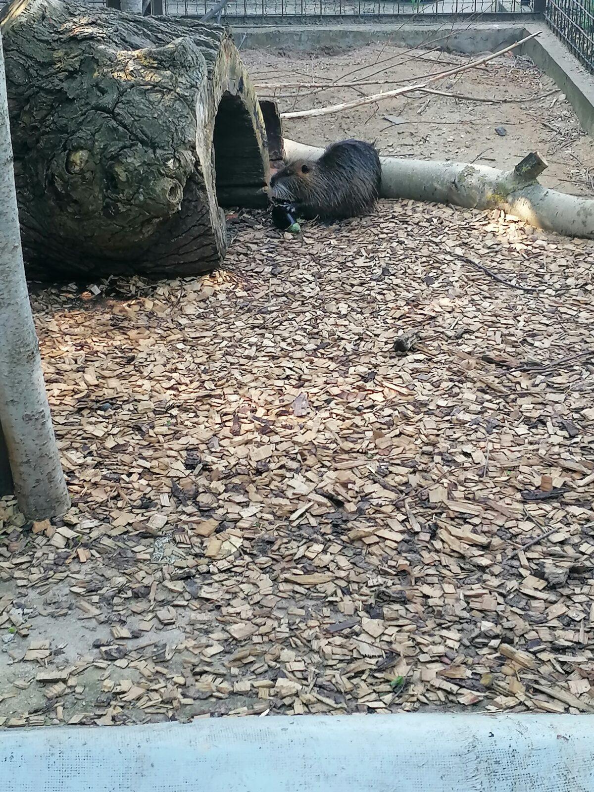 Sláva, nazdar výletu!!!!!! "Záchranná stanice Pasíčka" - 57