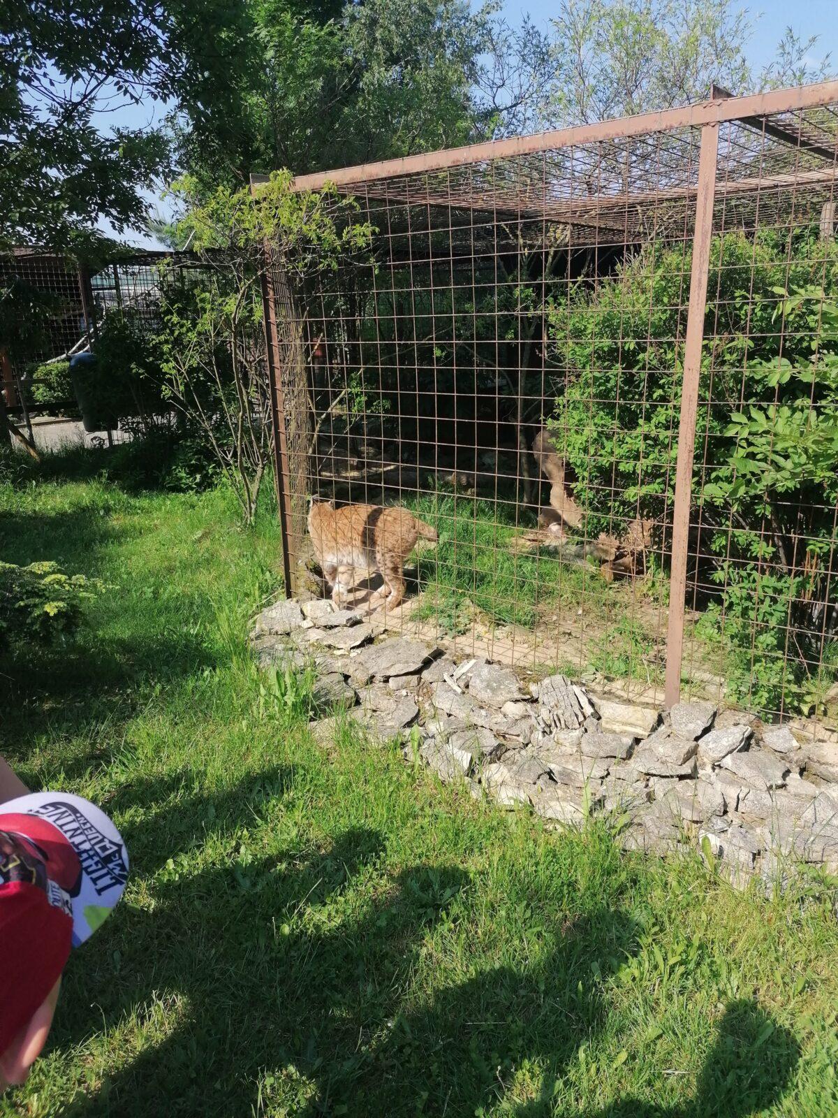 Sláva, nazdar výletu!!!!!! "Záchranná stanice Pasíčka" - 64