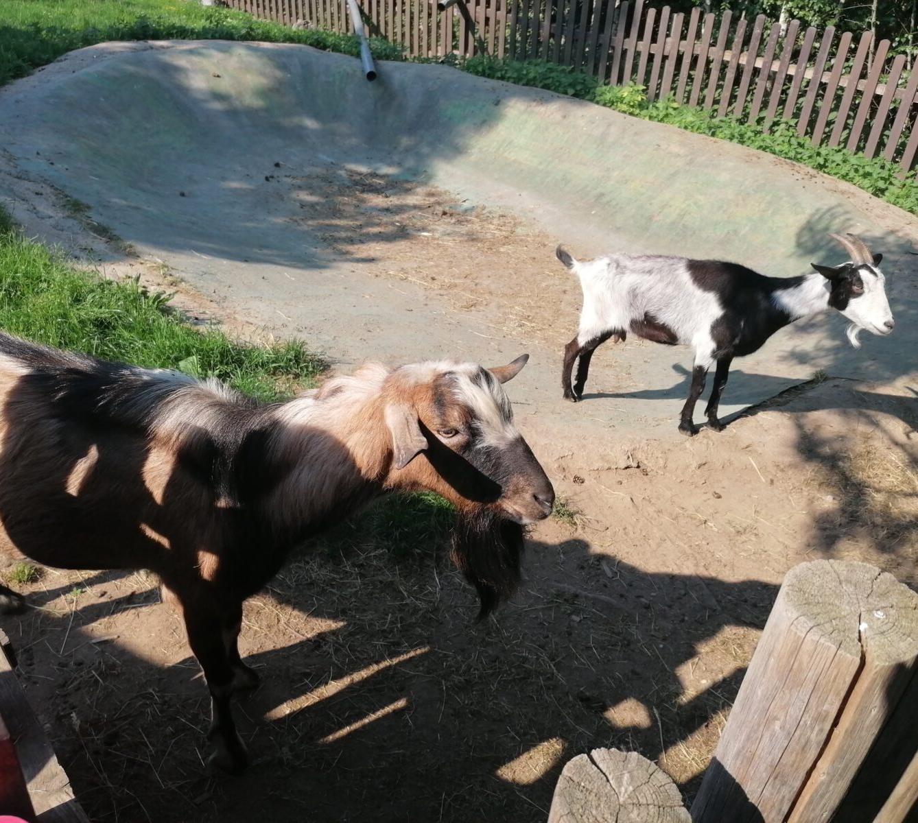 Sláva, nazdar výletu!!!!!! "Záchranná stanice Pasíčka" - 65