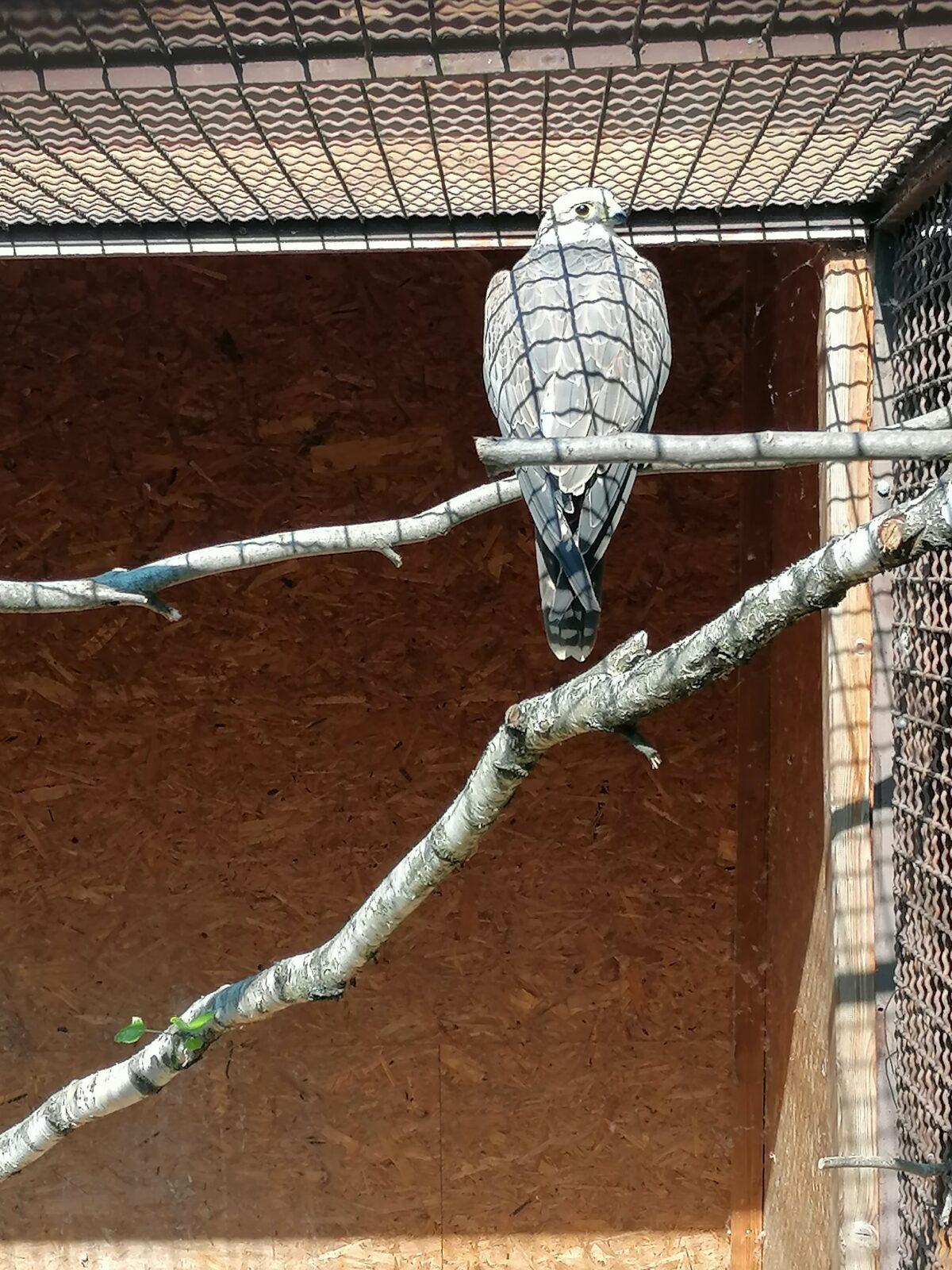 Sláva, nazdar výletu!!!!!! "Záchranná stanice Pasíčka" - 69