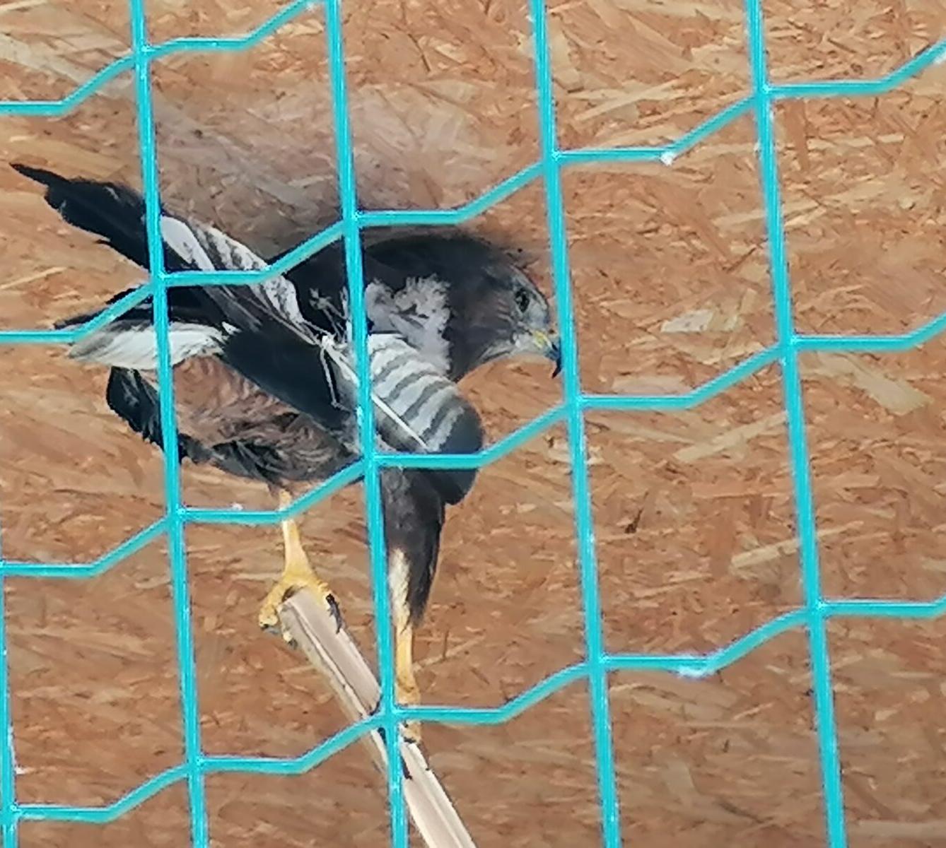 Sláva, nazdar výletu!!!!!! "Záchranná stanice Pasíčka" - 72