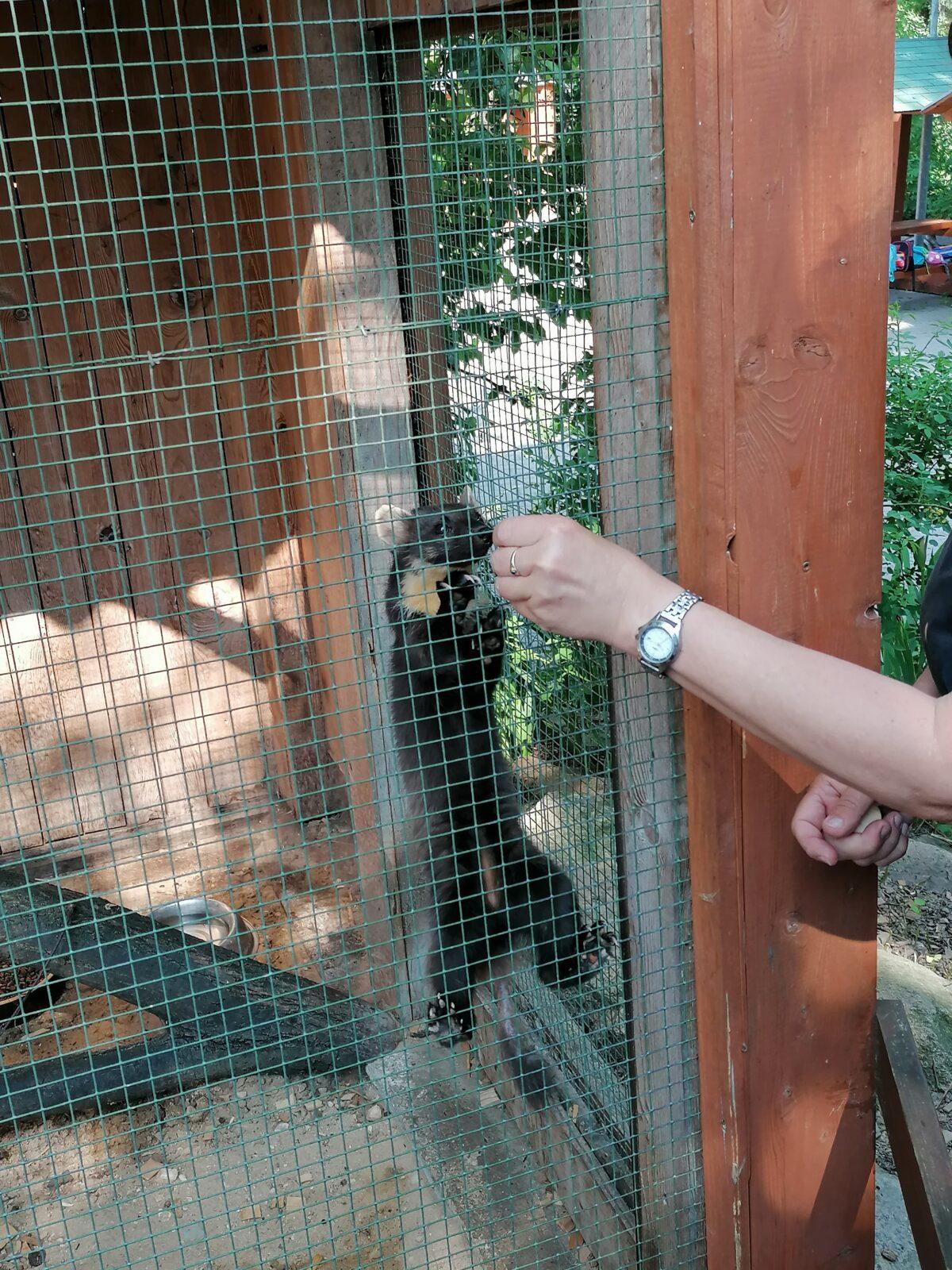 Sláva, nazdar výletu!!!!!! "Záchranná stanice Pasíčka" - 80