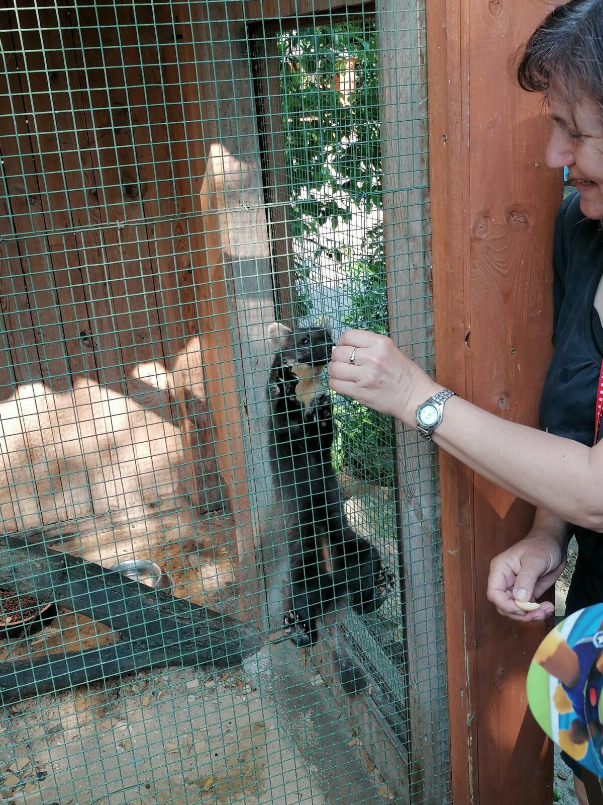 Sláva, nazdar výletu!!!!!! "Záchranná stanice Pasíčka" - 82