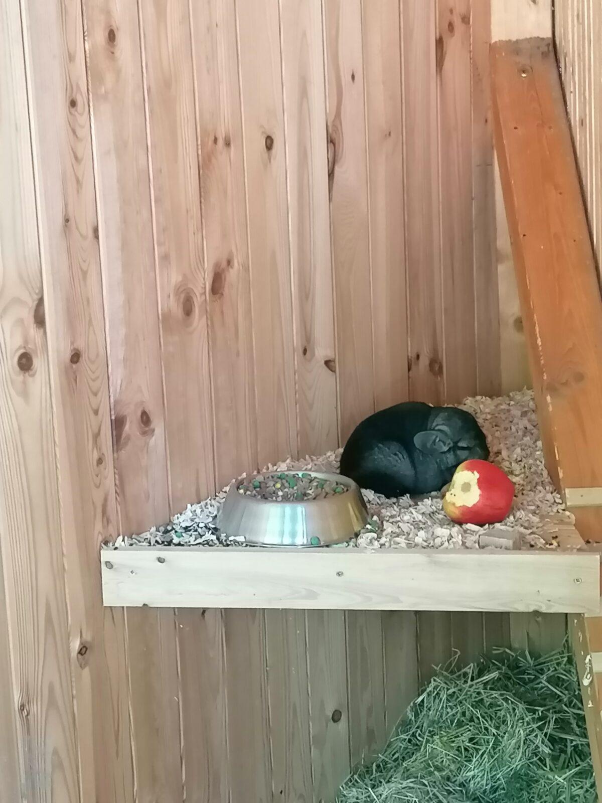 Sláva, nazdar výletu!!!!!! "Záchranná stanice Pasíčka" - 83