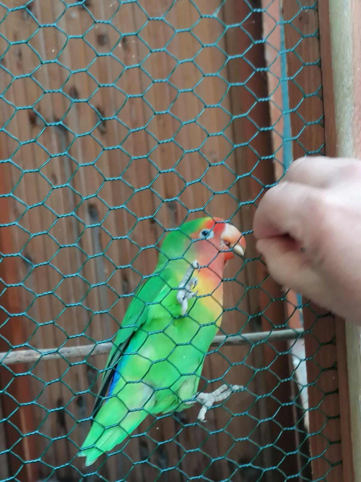 Sláva, nazdar výletu!!!!!! "Záchranná stanice Pasíčka" - 84