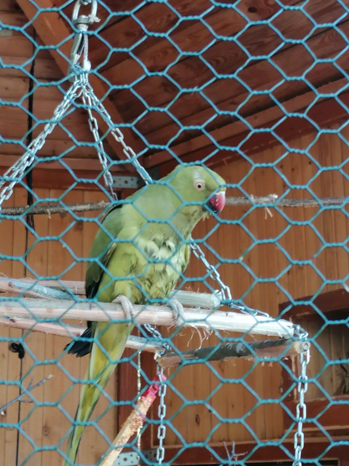 Sláva, nazdar výletu!!!!!! "Záchranná stanice Pasíčka" - 85