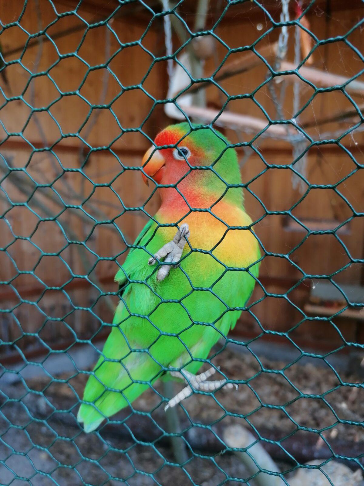 Sláva, nazdar výletu!!!!!! "Záchranná stanice Pasíčka" - 87