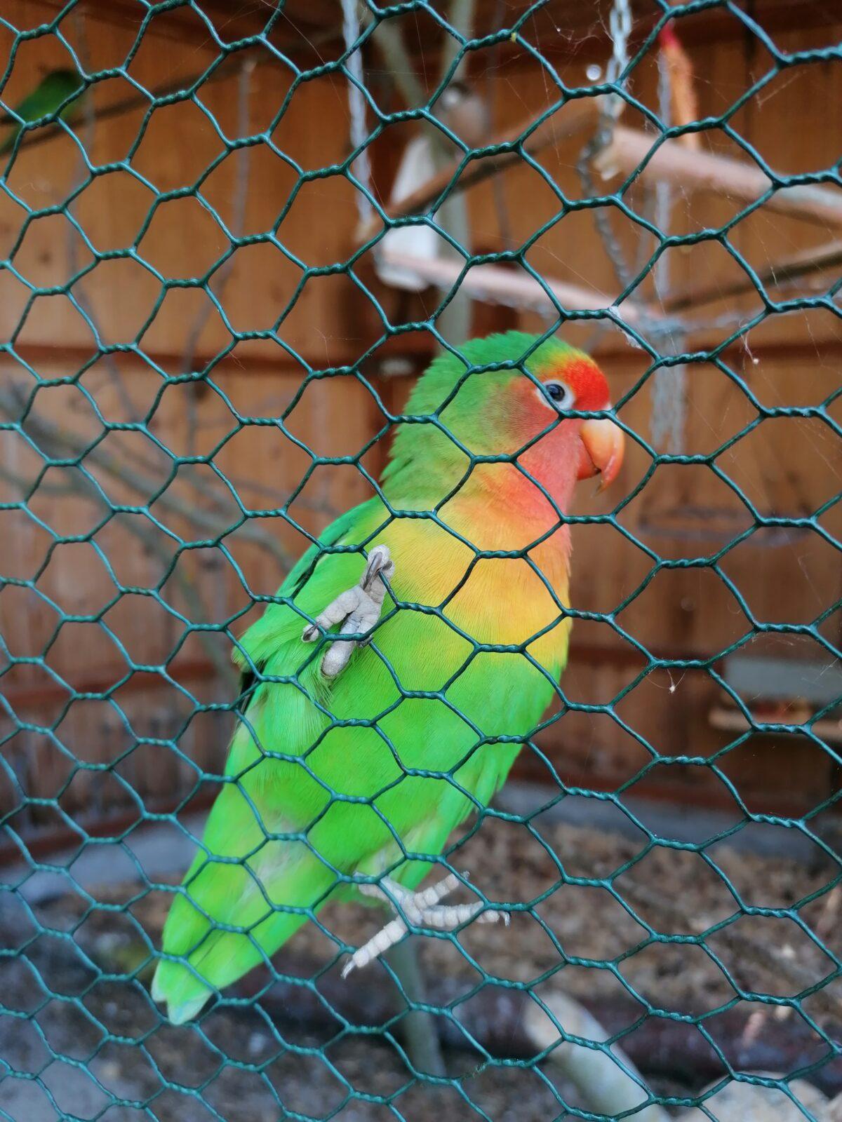 Sláva, nazdar výletu!!!!!! "Záchranná stanice Pasíčka" - 88