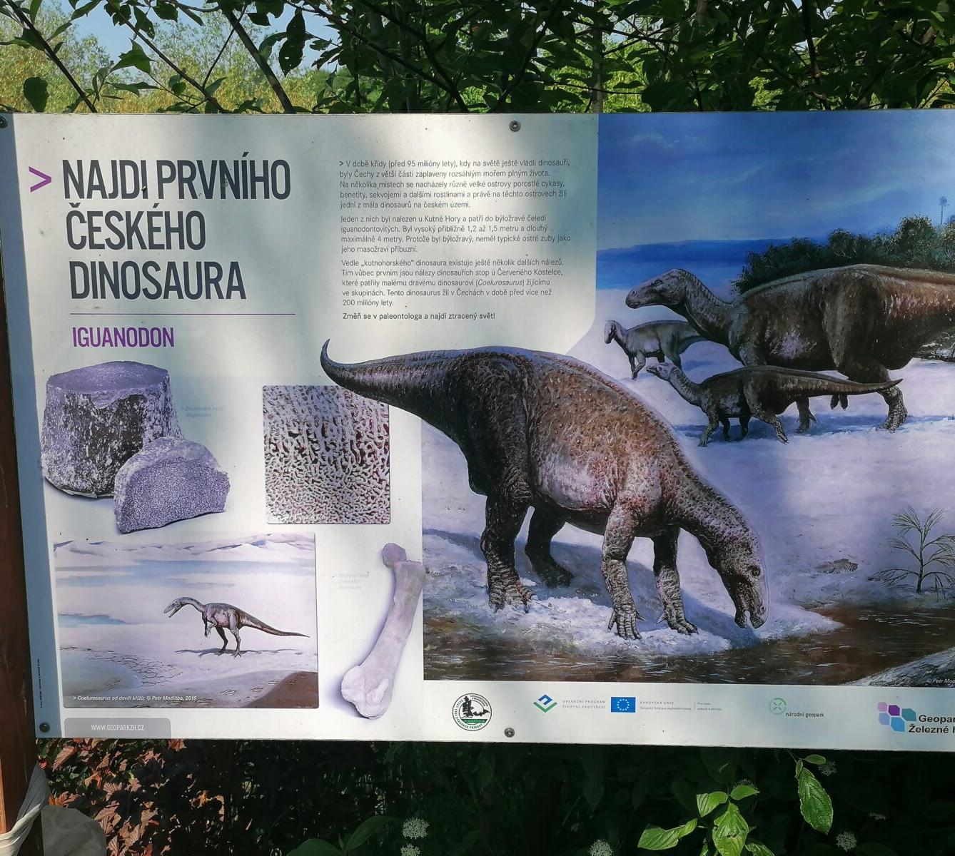 Sláva, nazdar výletu!!!!!! "Záchranná stanice Pasíčka" - 102