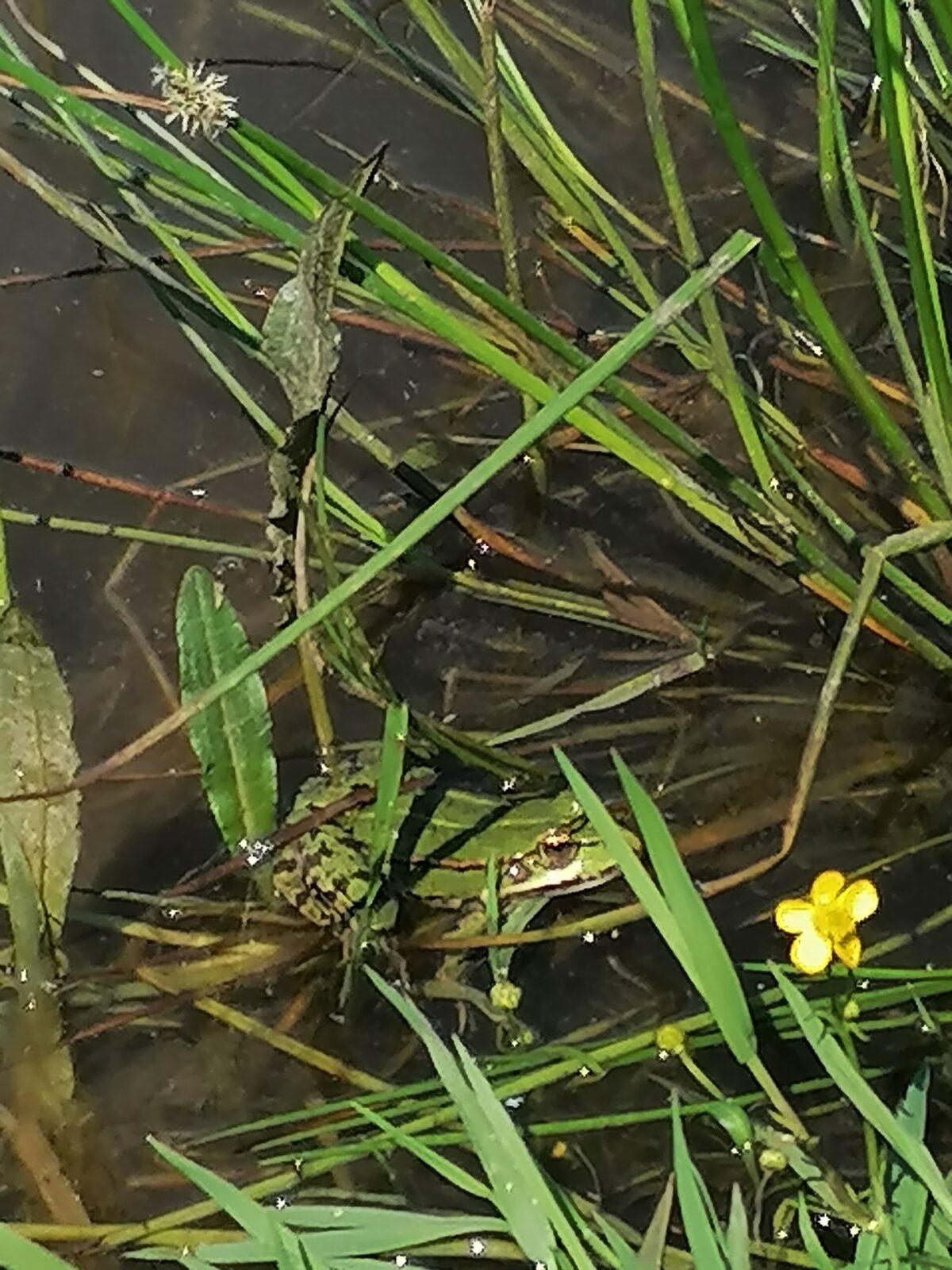 Sláva, nazdar výletu!!!!!! "Záchranná stanice Pasíčka" - 131