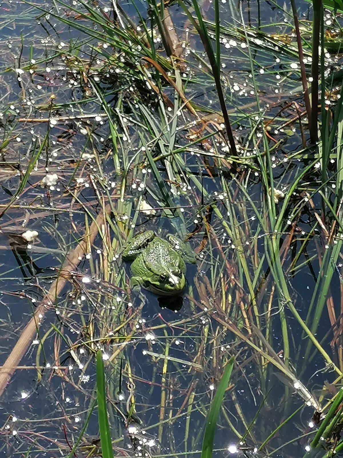 Sláva, nazdar výletu!!!!!! "Záchranná stanice Pasíčka" - 133