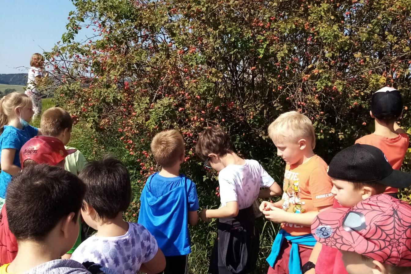 Družinka I. oddělení