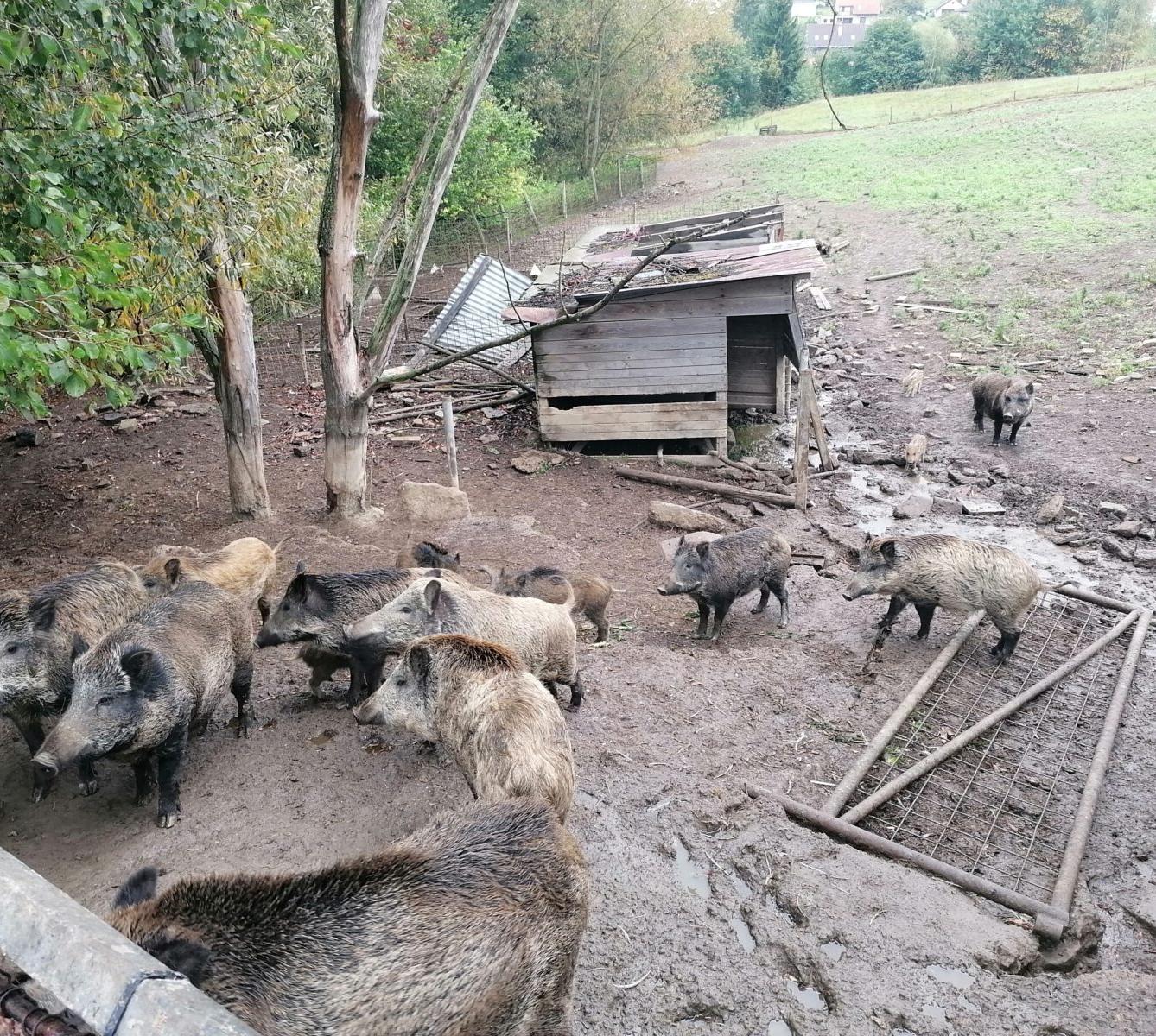 "Barevný svět kolem nás" - podzimní dny v MŠ :-) - 34