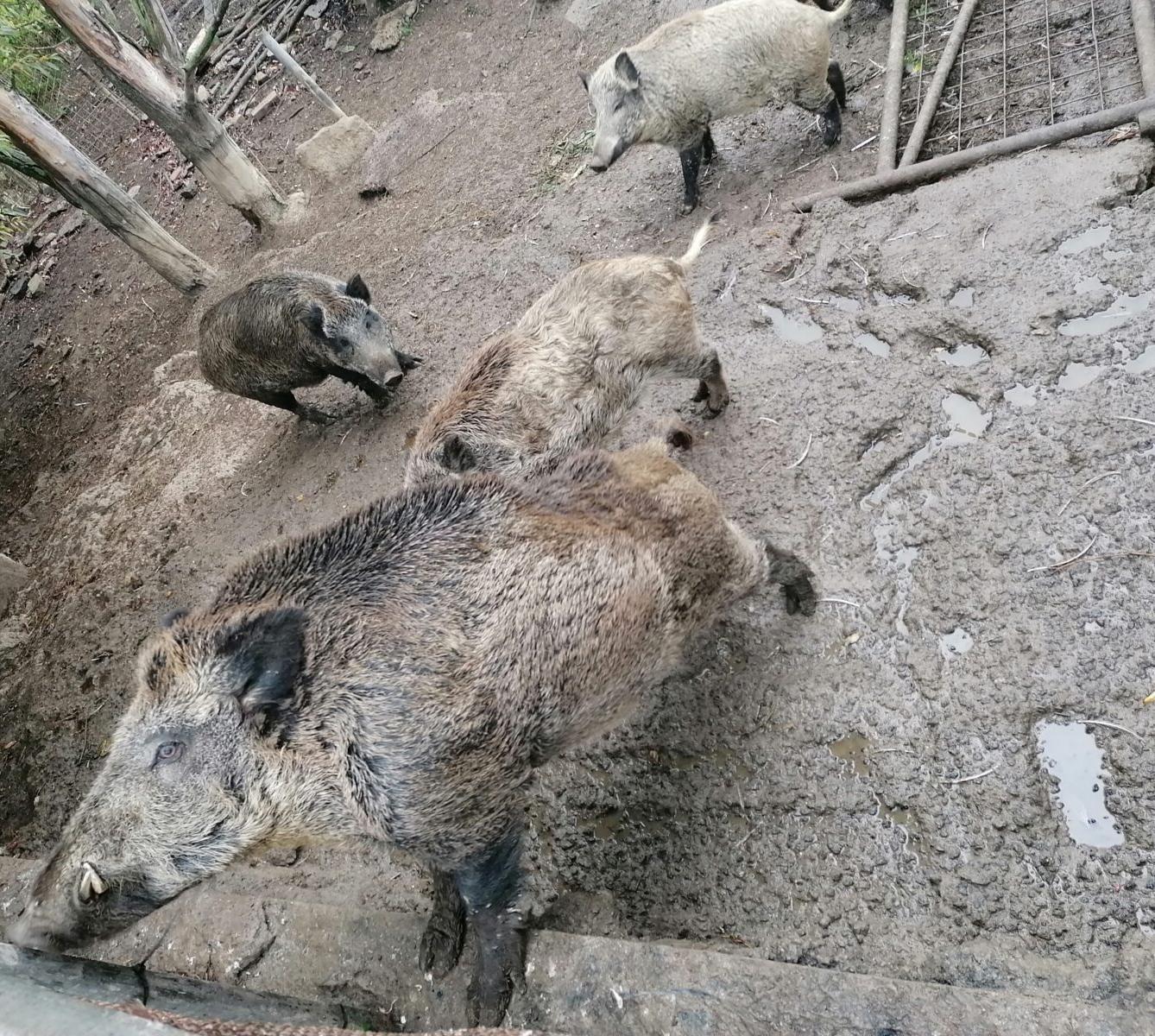 "Barevný svět kolem nás" - podzimní dny v MŠ :-) - 36