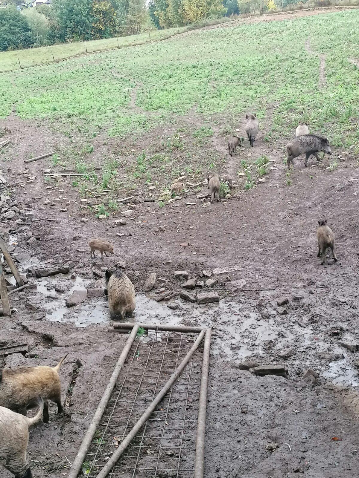 "Barevný svět kolem nás" - podzimní dny v MŠ :-) - 37