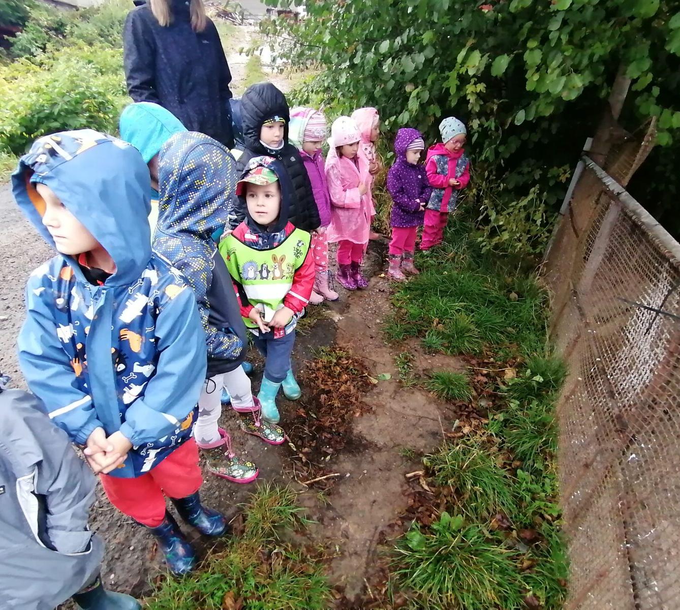 "Barevný svět kolem nás" - podzimní dny v MŠ :-) - 39