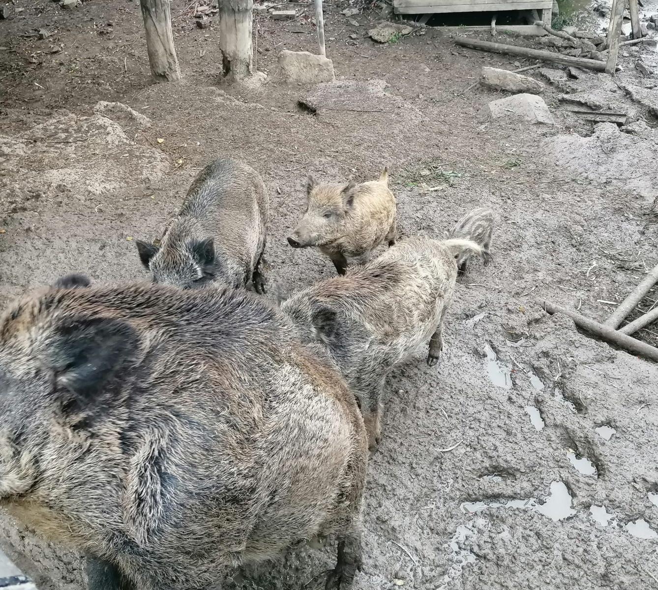 "Barevný svět kolem nás" - podzimní dny v MŠ :-) - 42