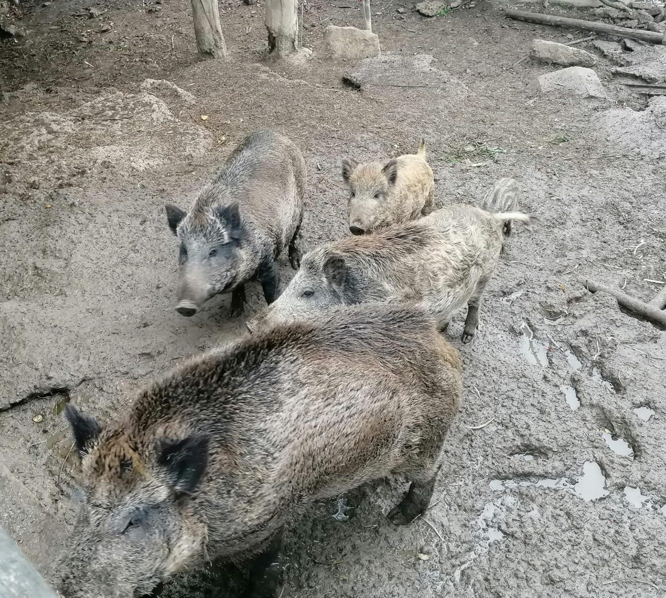 "Barevný svět kolem nás" - podzimní dny v MŠ :-) - 43