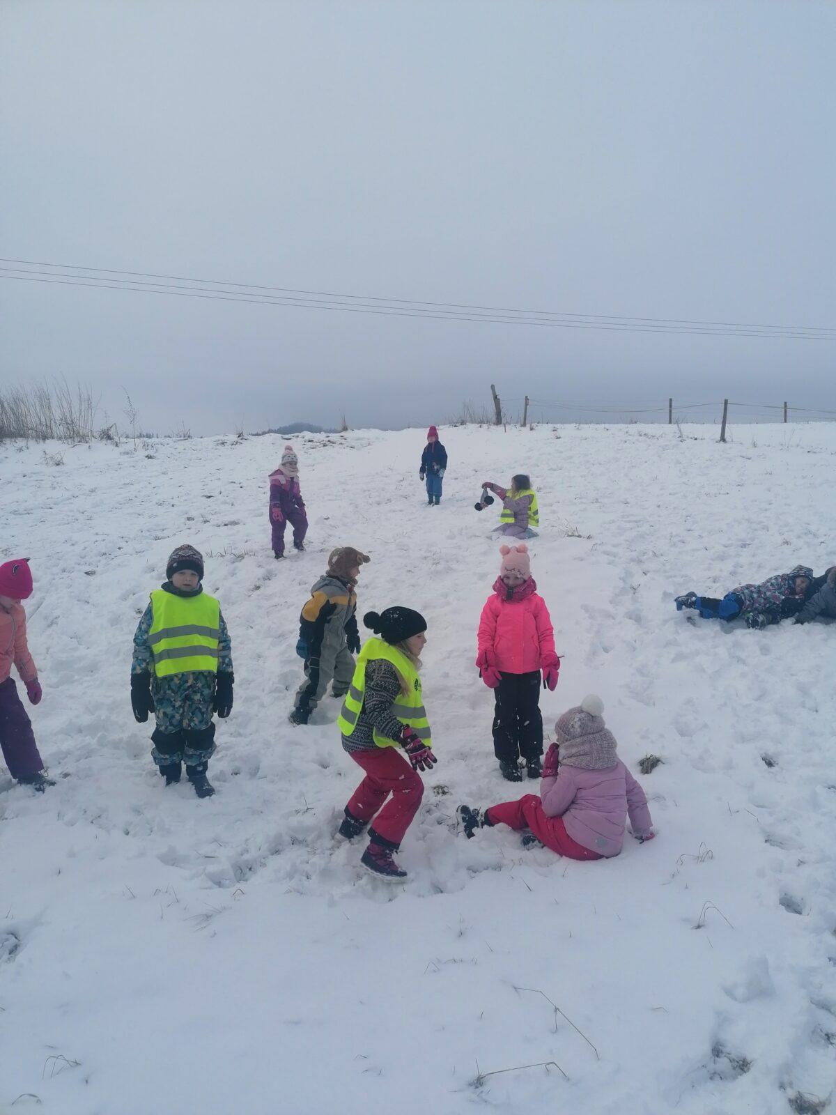 Dovádíme ve sněhu!!!!! :-) - 11