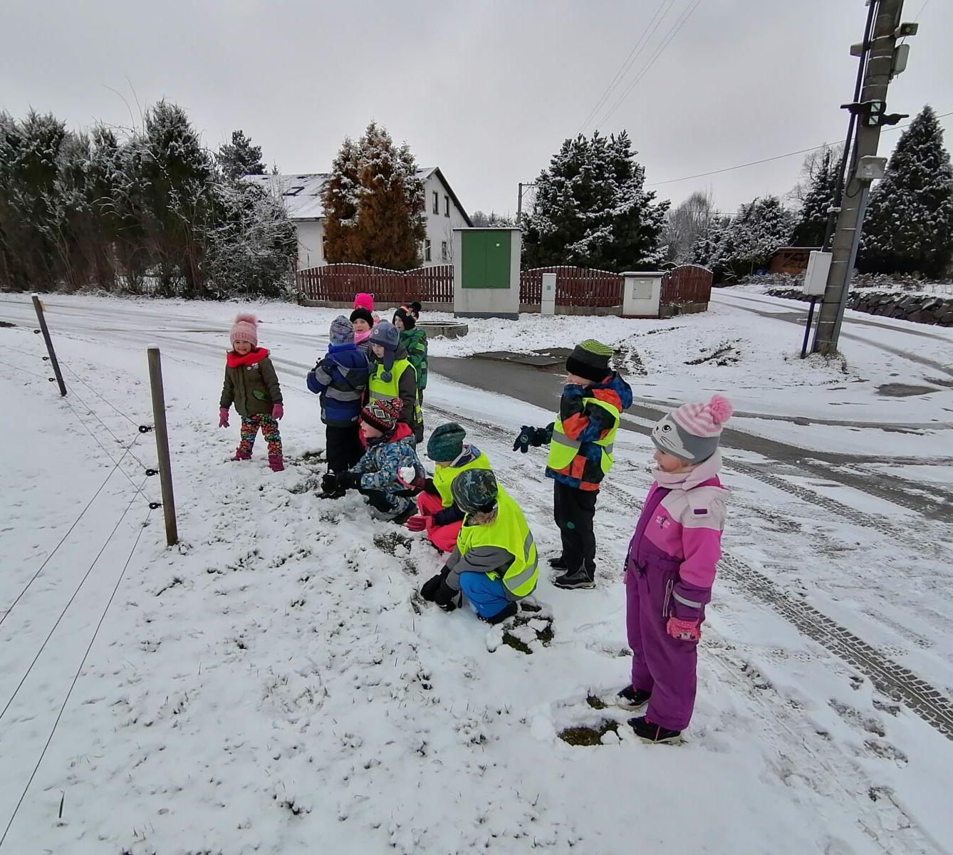 "Zvířátka a ptáčci v zimě" - skupinové práce :-) - 91