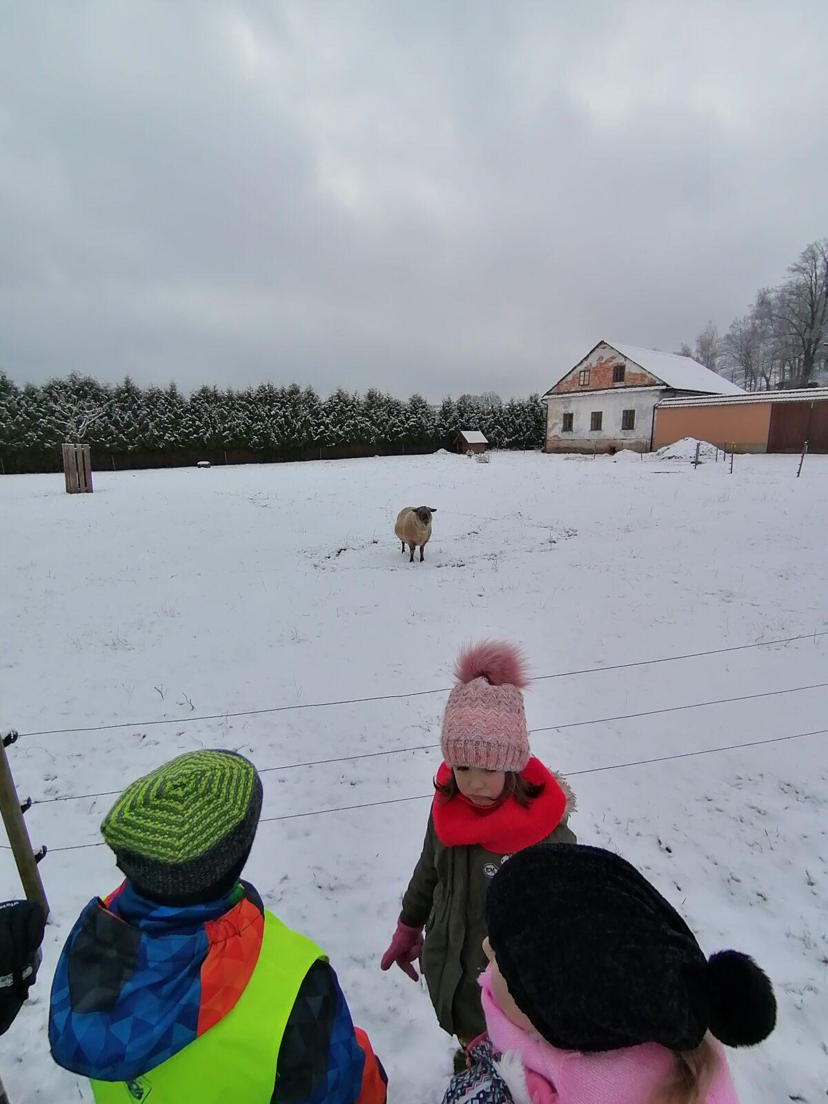 "Zvířátka a ptáčci v zimě" - skupinové práce :-) - 92