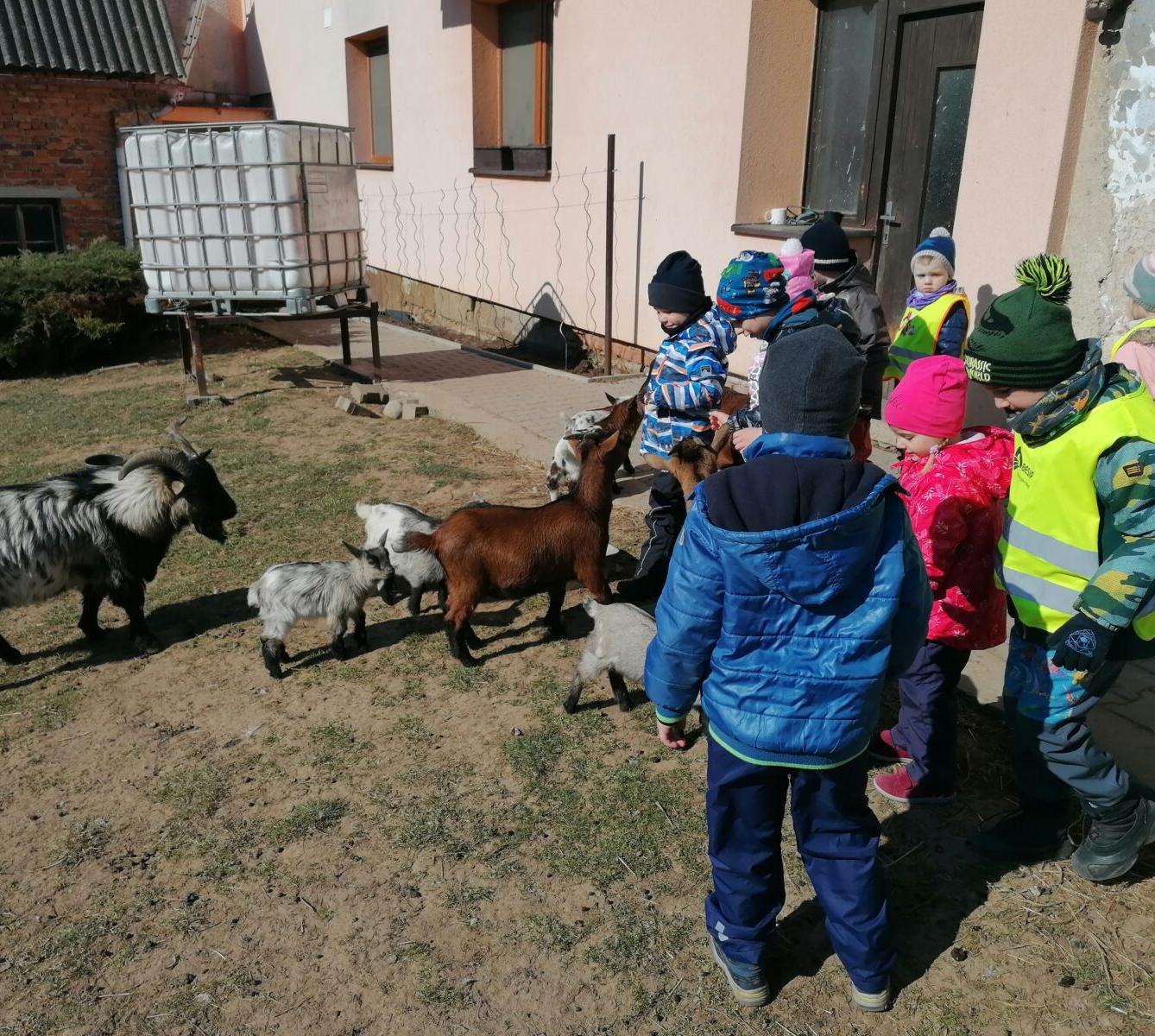 "Máme rádi zvířata" aneb "vycházky za zvířátky" :-) - 11