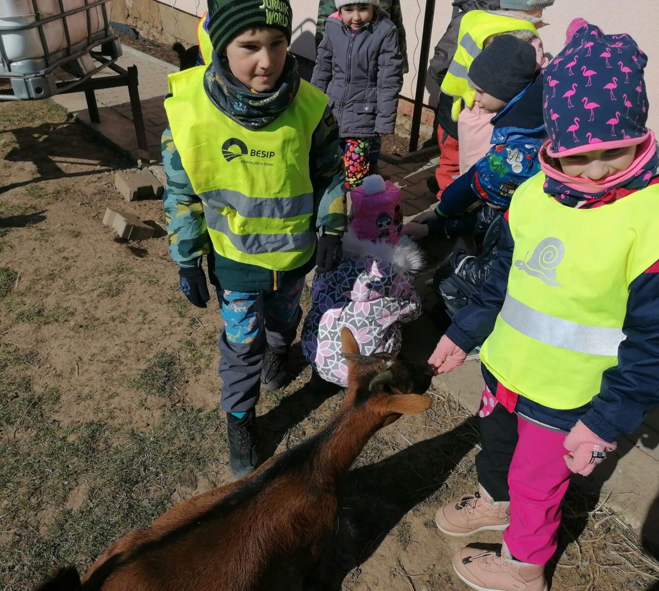 "Máme rádi zvířata" aneb "vycházky za zvířátky" :-) - 12
