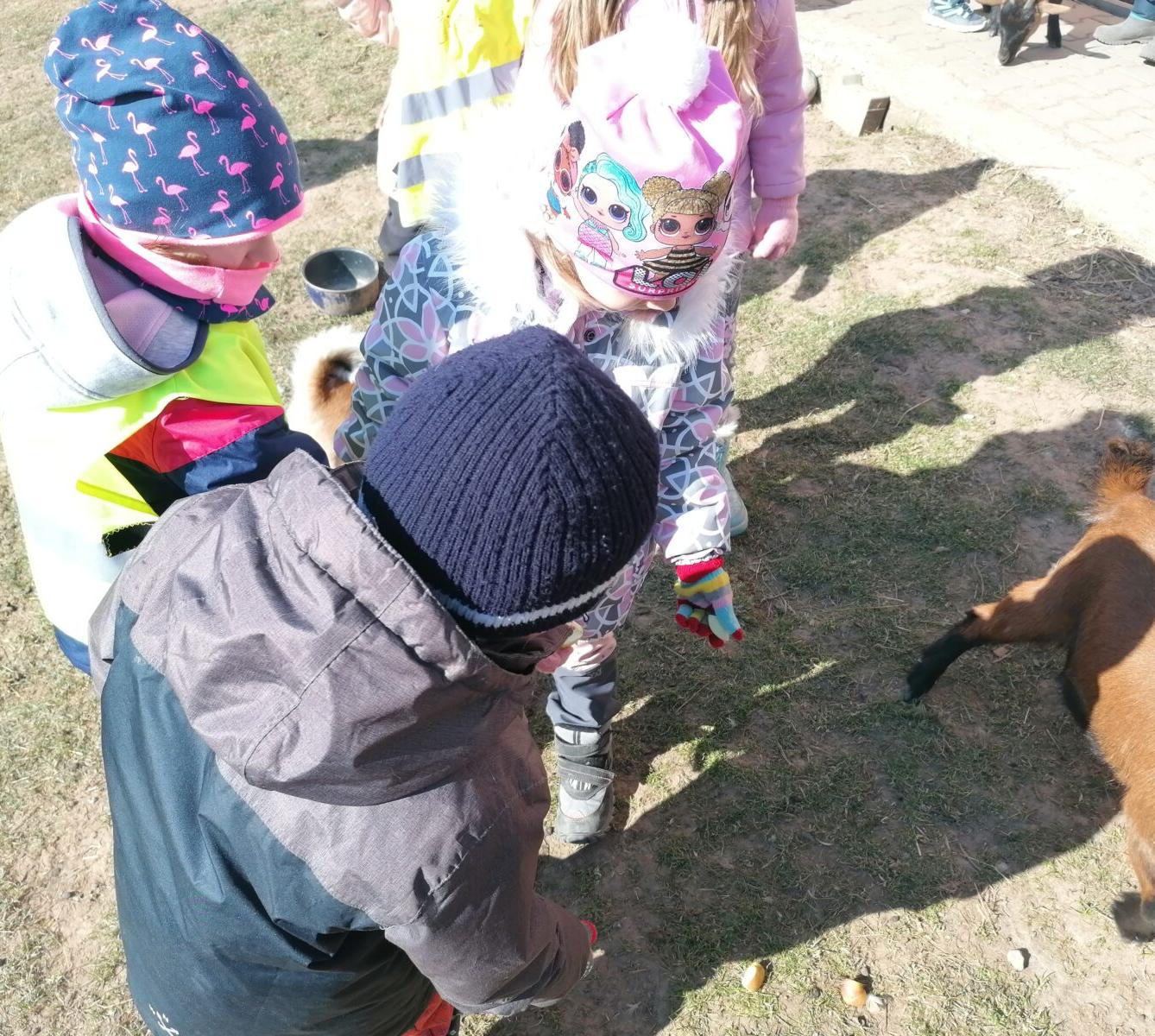 "Máme rádi zvířata" aneb "vycházky za zvířátky" :-) - 15