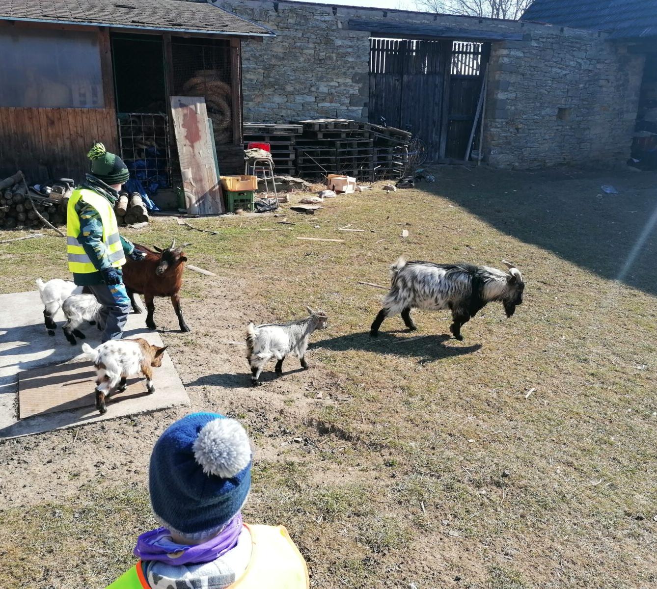 "Máme rádi zvířata" aneb "vycházky za zvířátky" :-) - 16
