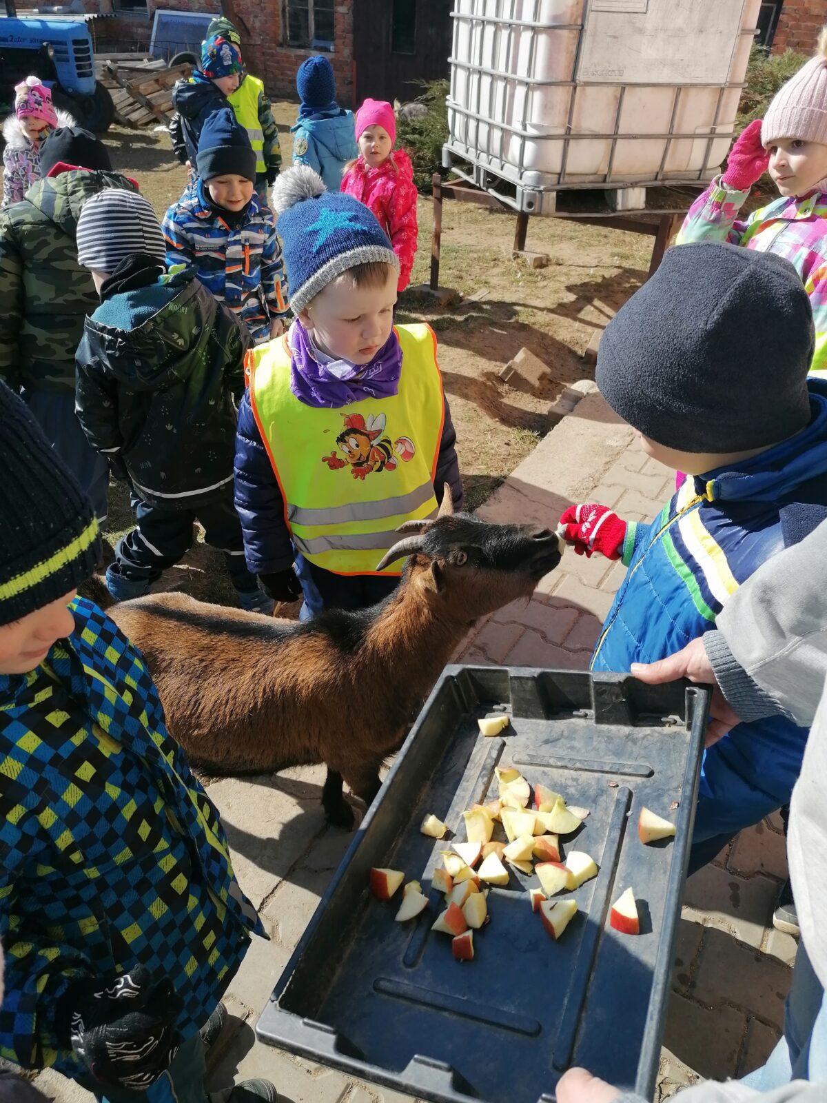 "Máme rádi zvířata" aneb "vycházky za zvířátky" :-) - 20