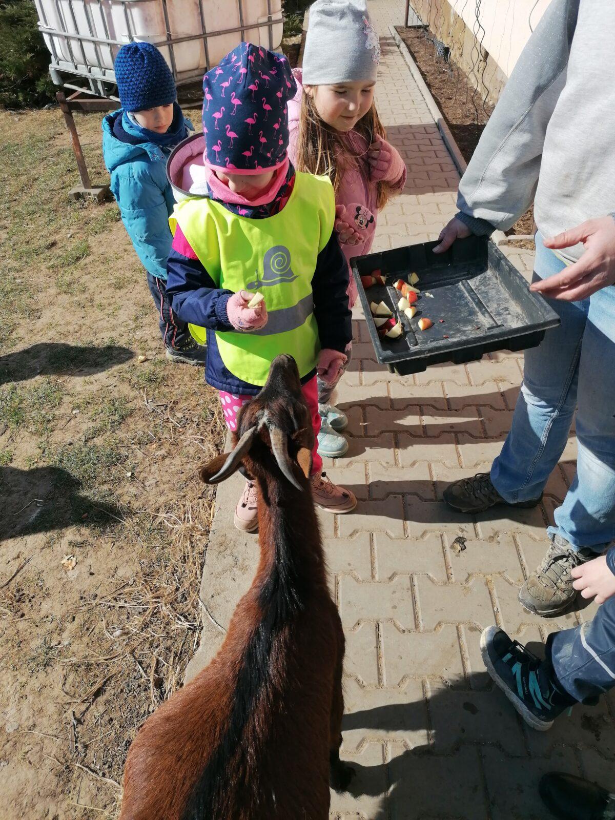 "Máme rádi zvířata" aneb "vycházky za zvířátky" :-) - 23