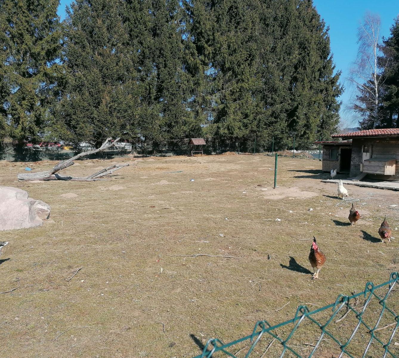 "Máme rádi zvířata" aneb "vycházky za zvířátky" :-) - 25